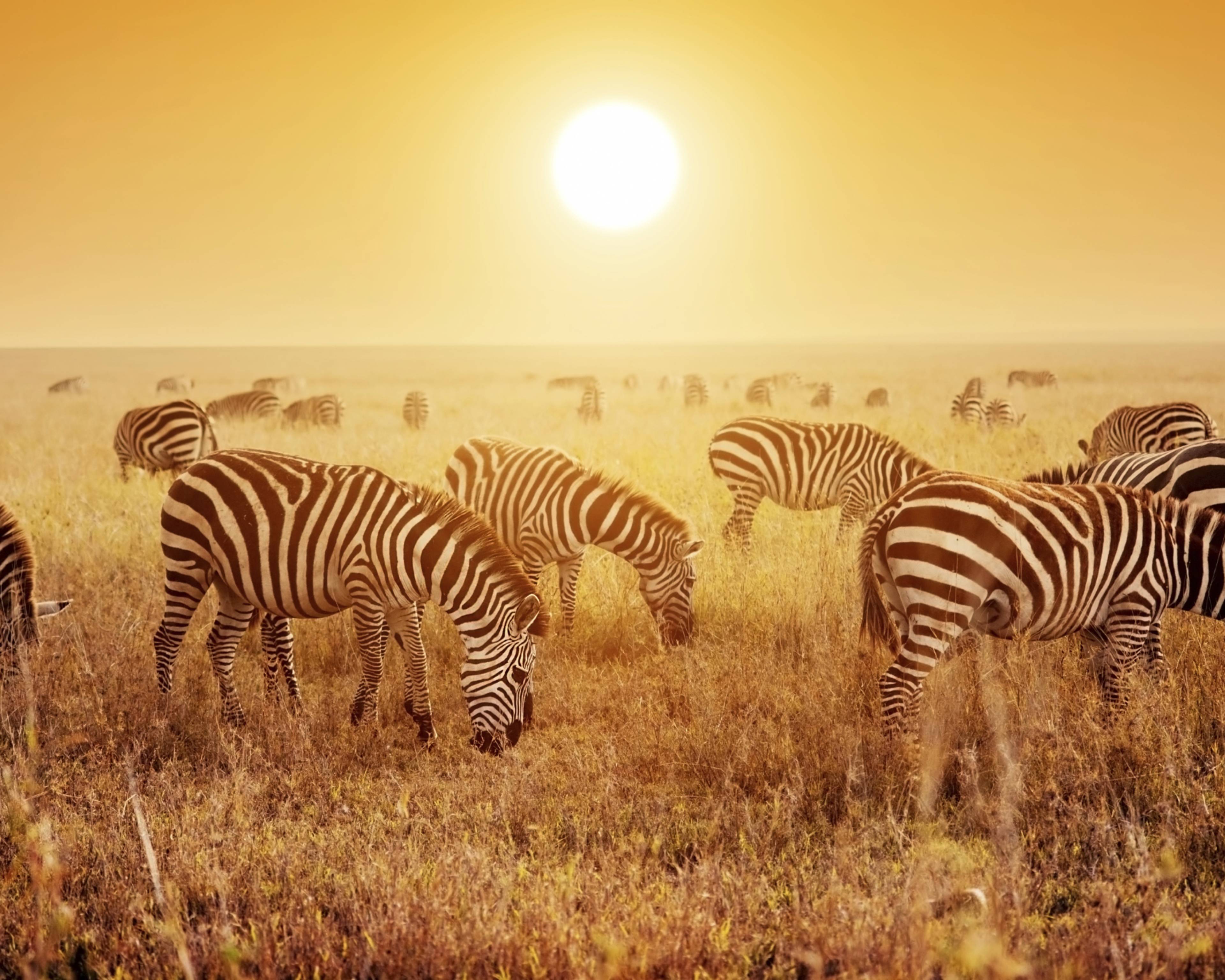 Lo spirito della Tanzania in un safari di gruppo