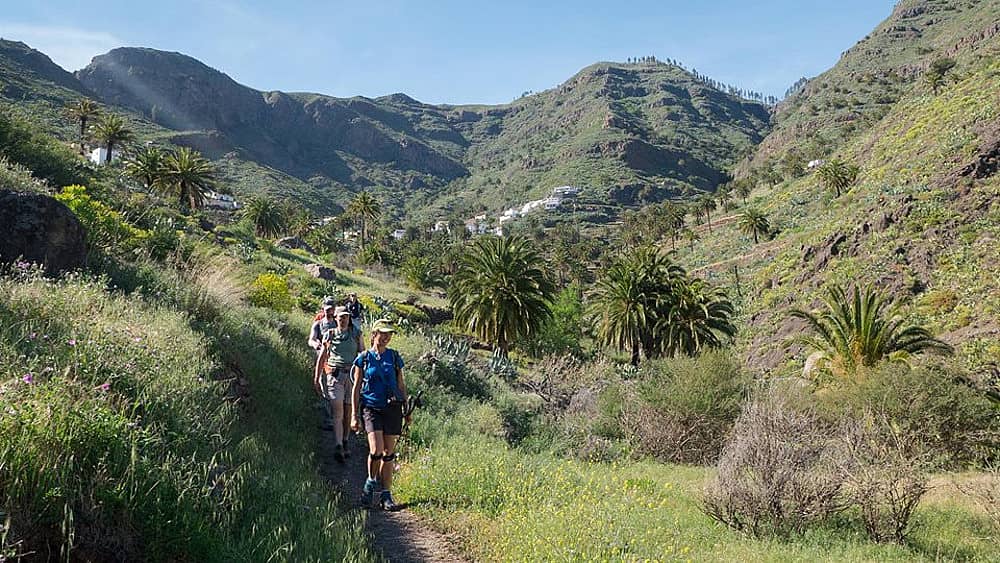 Tenerife et la Gomera, randonnées paradisiaques en petit groupe