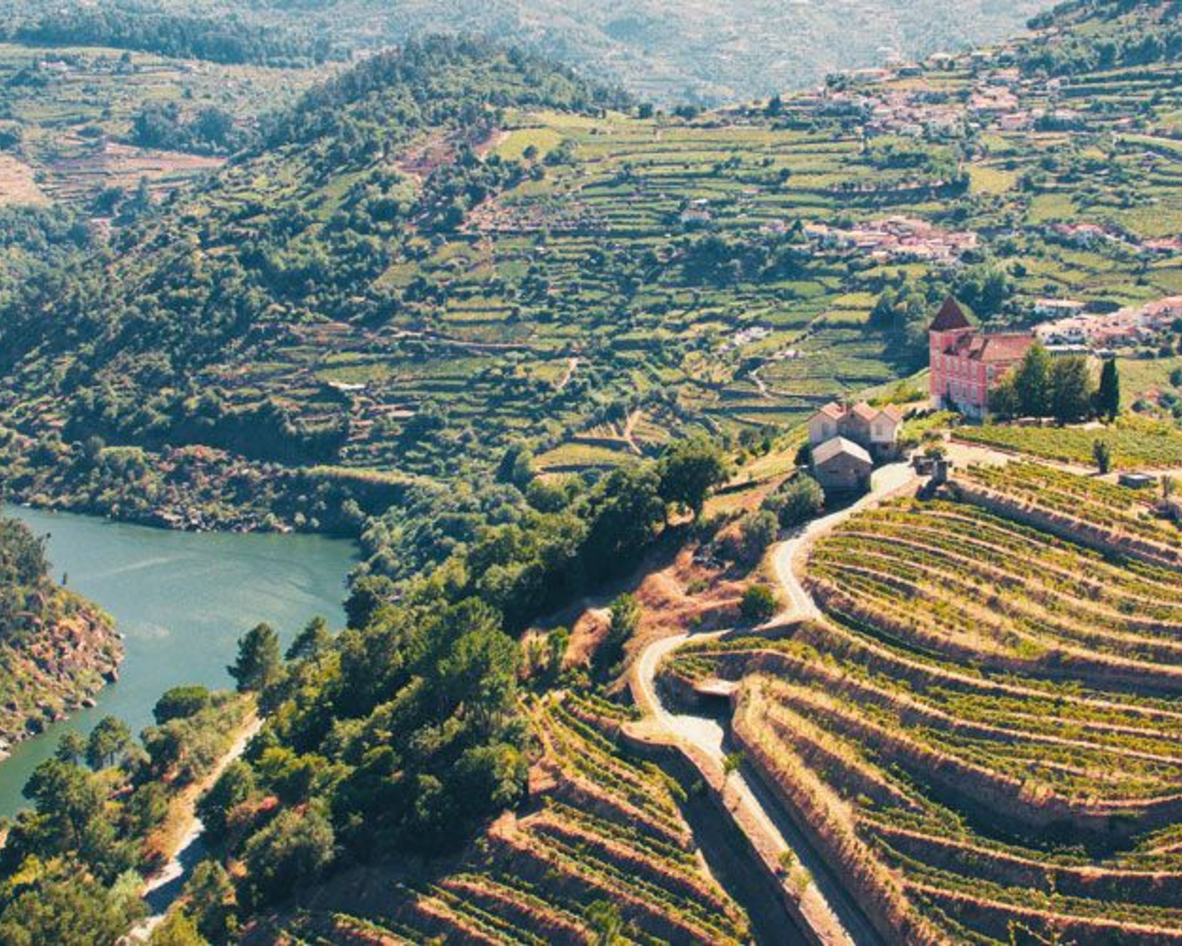 Des caves de Porto à la vallée du Douro