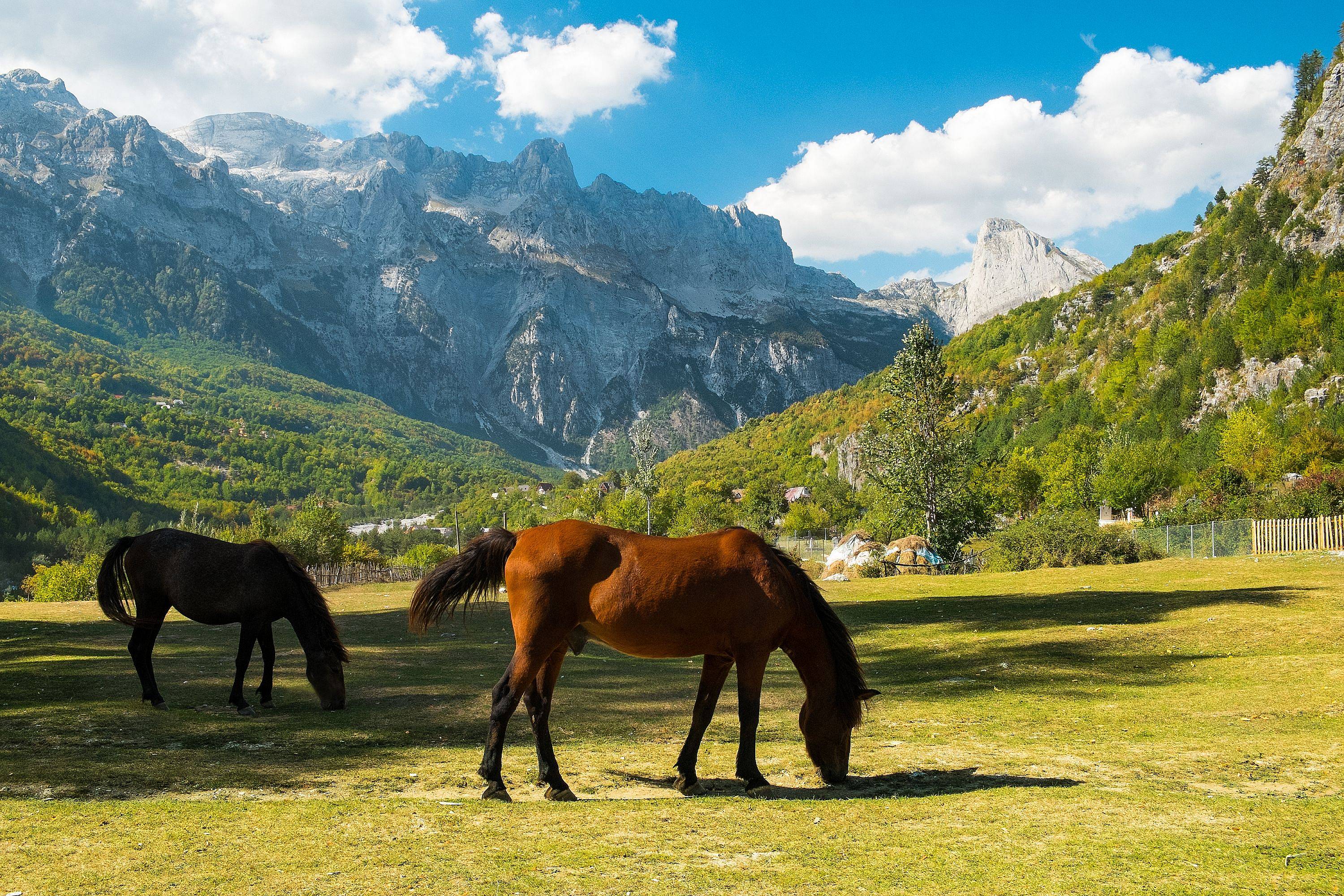 Actieve wandelreis door Montenegro en Albanië