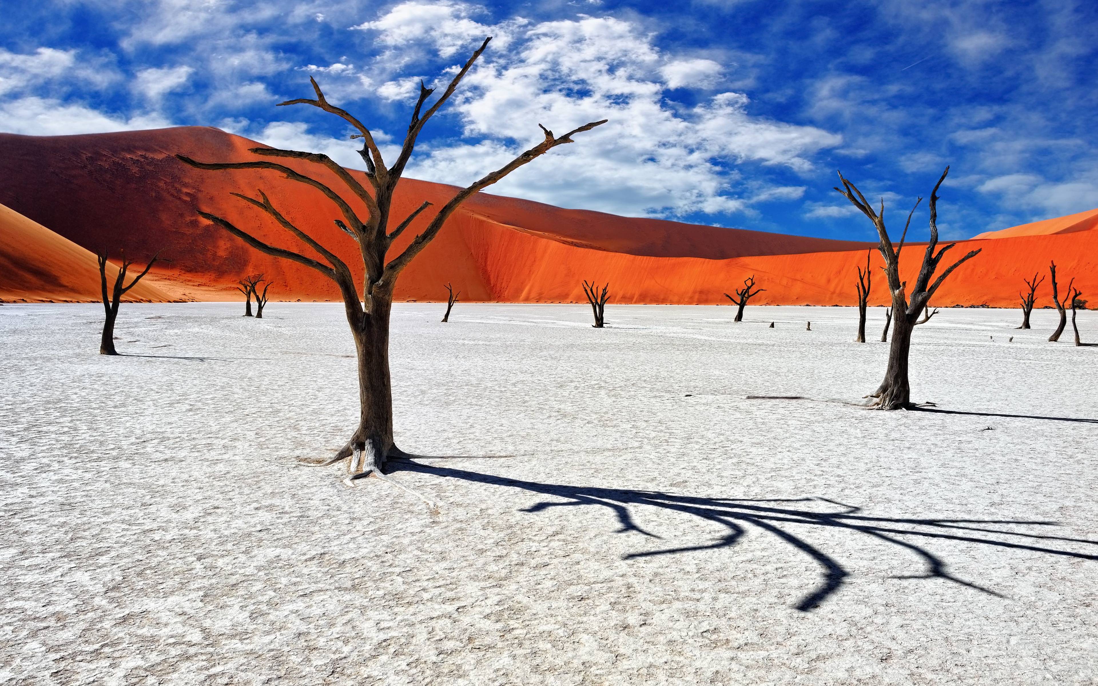 ​Auf den größten Dünen Namibias - Sossusvlei
