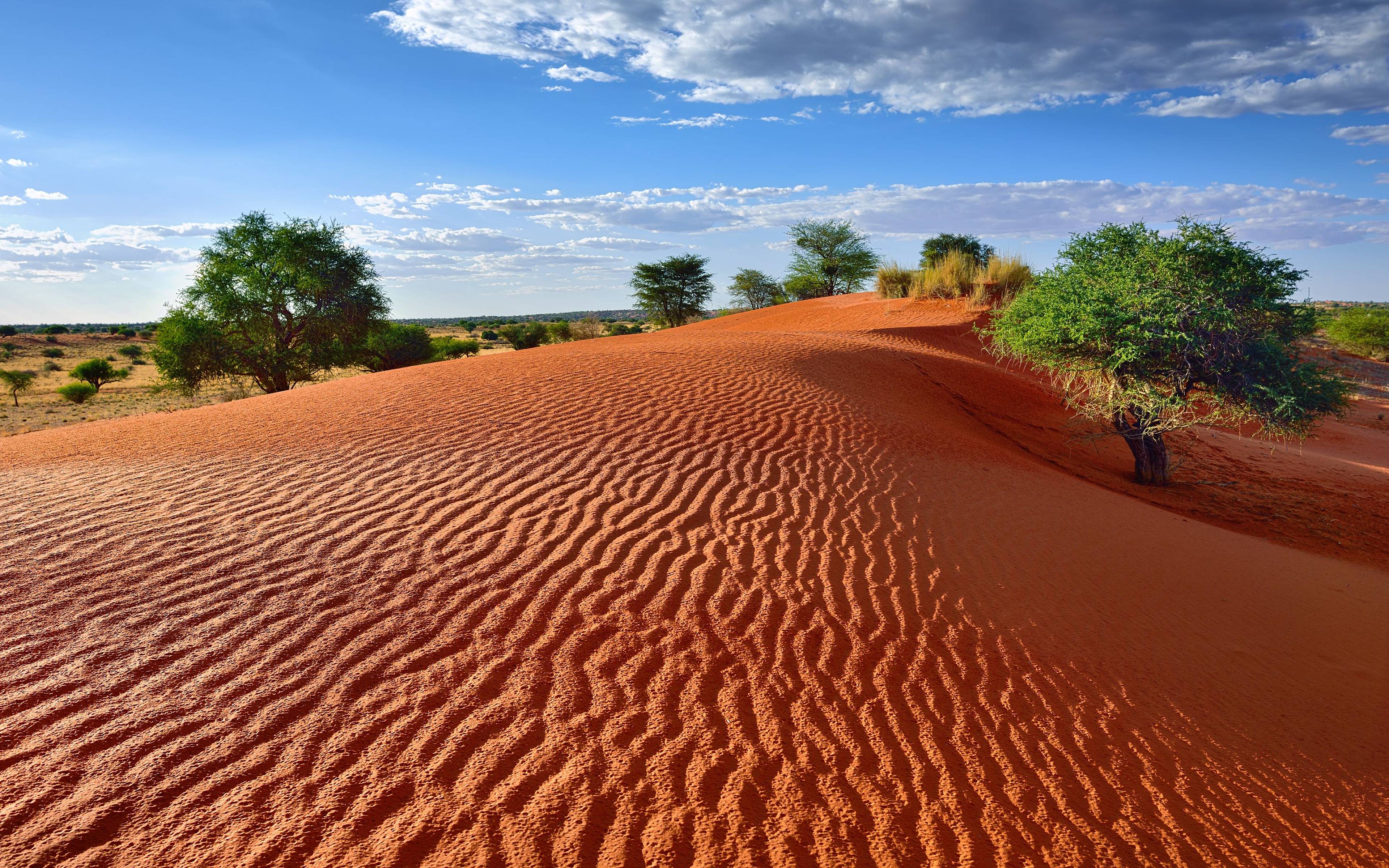 Kalahari - Die ersten Dünen sind in Sicht!