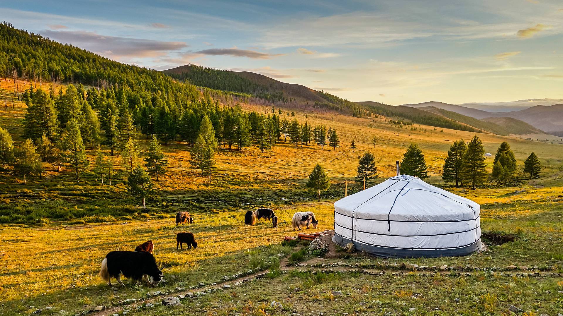 Mongolia remota tra i nomadi Mongolo-Kazaki