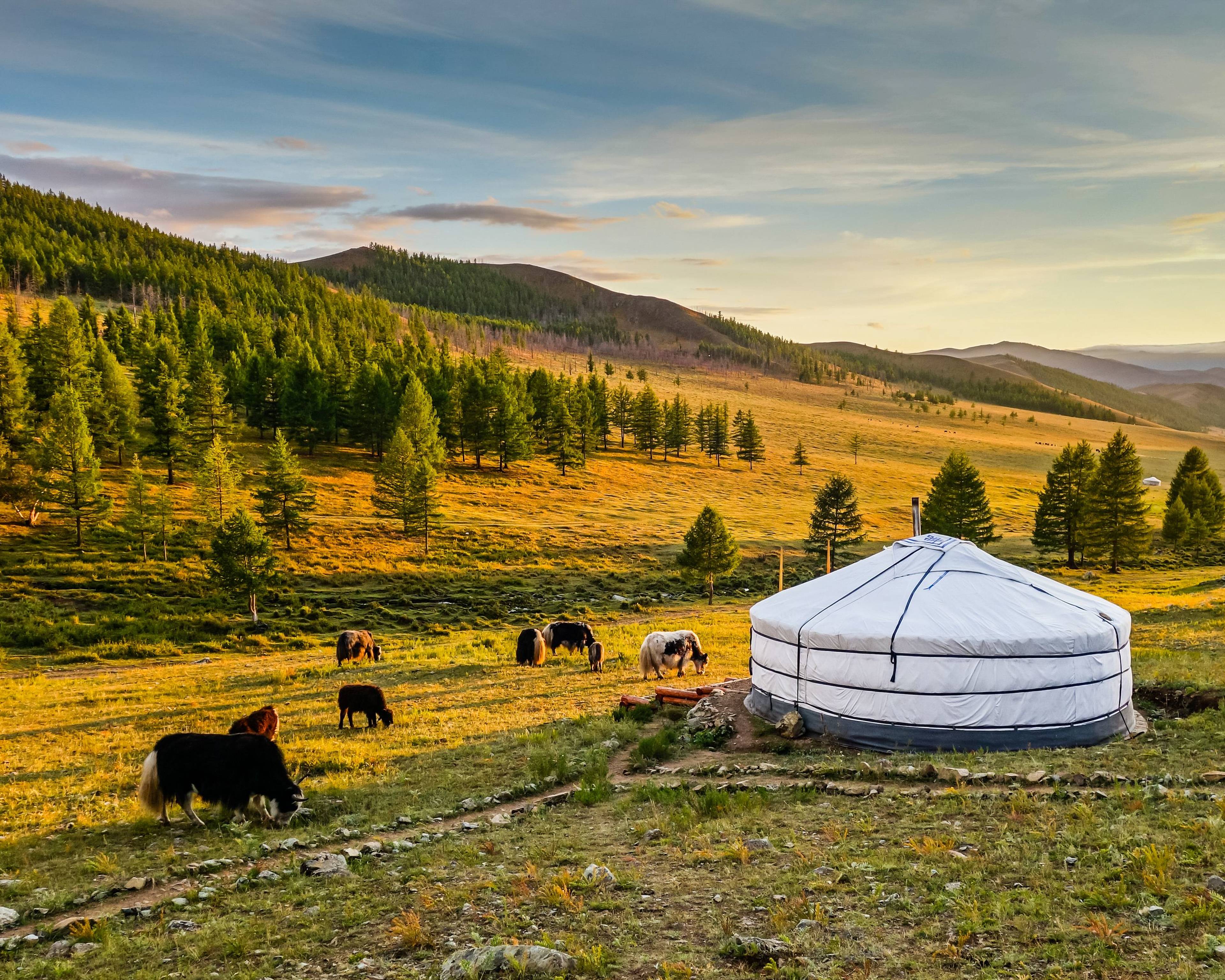 Mongolia remota tra i nomadi Mongolo-Kazaki
