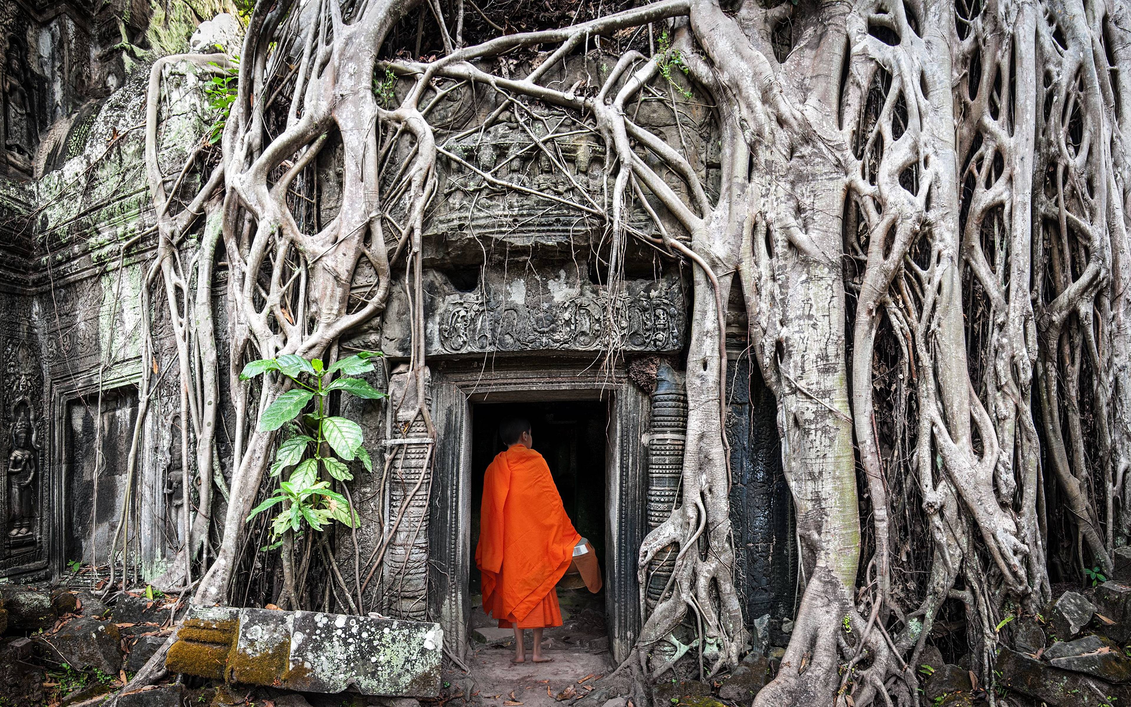 Angkor Thom, Ta Prohm & Angkor Wat