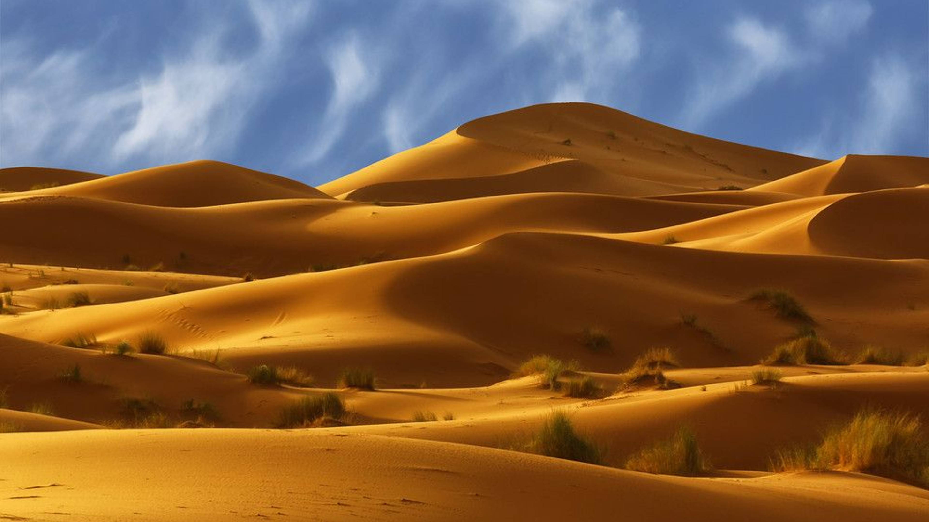Spedizione sulle dune dell'Erg-Chebbi