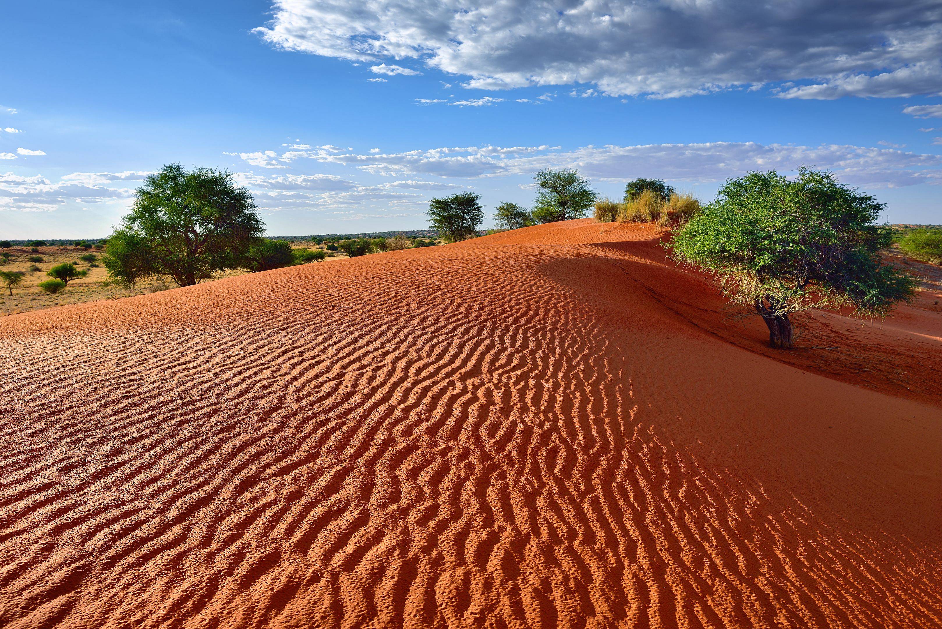 Fahrt in die Kalahari Wüste 