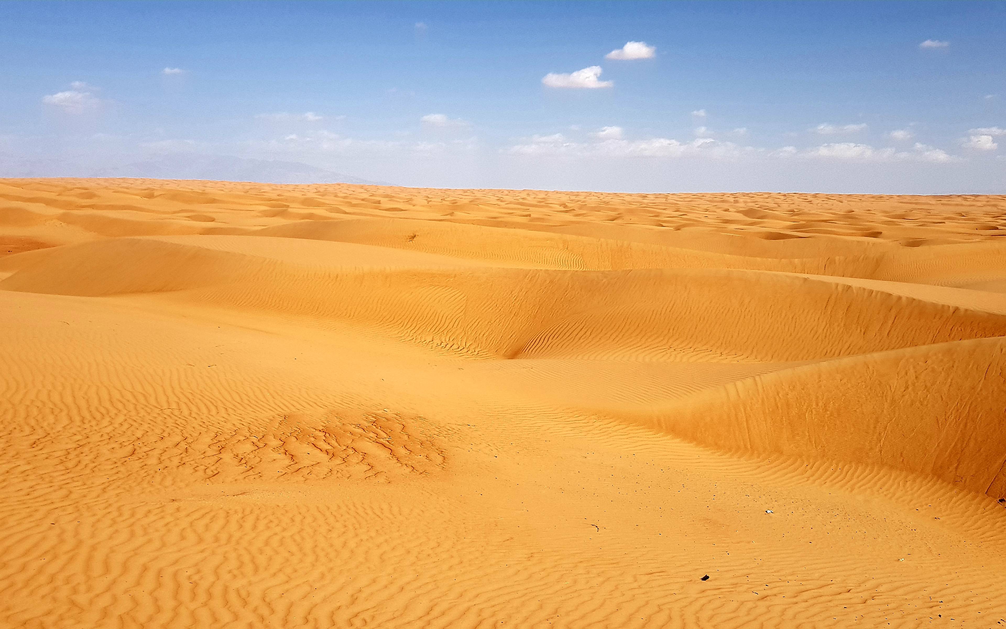 Rit naar Wadi Bani Khalid en een nacht in de woestijn