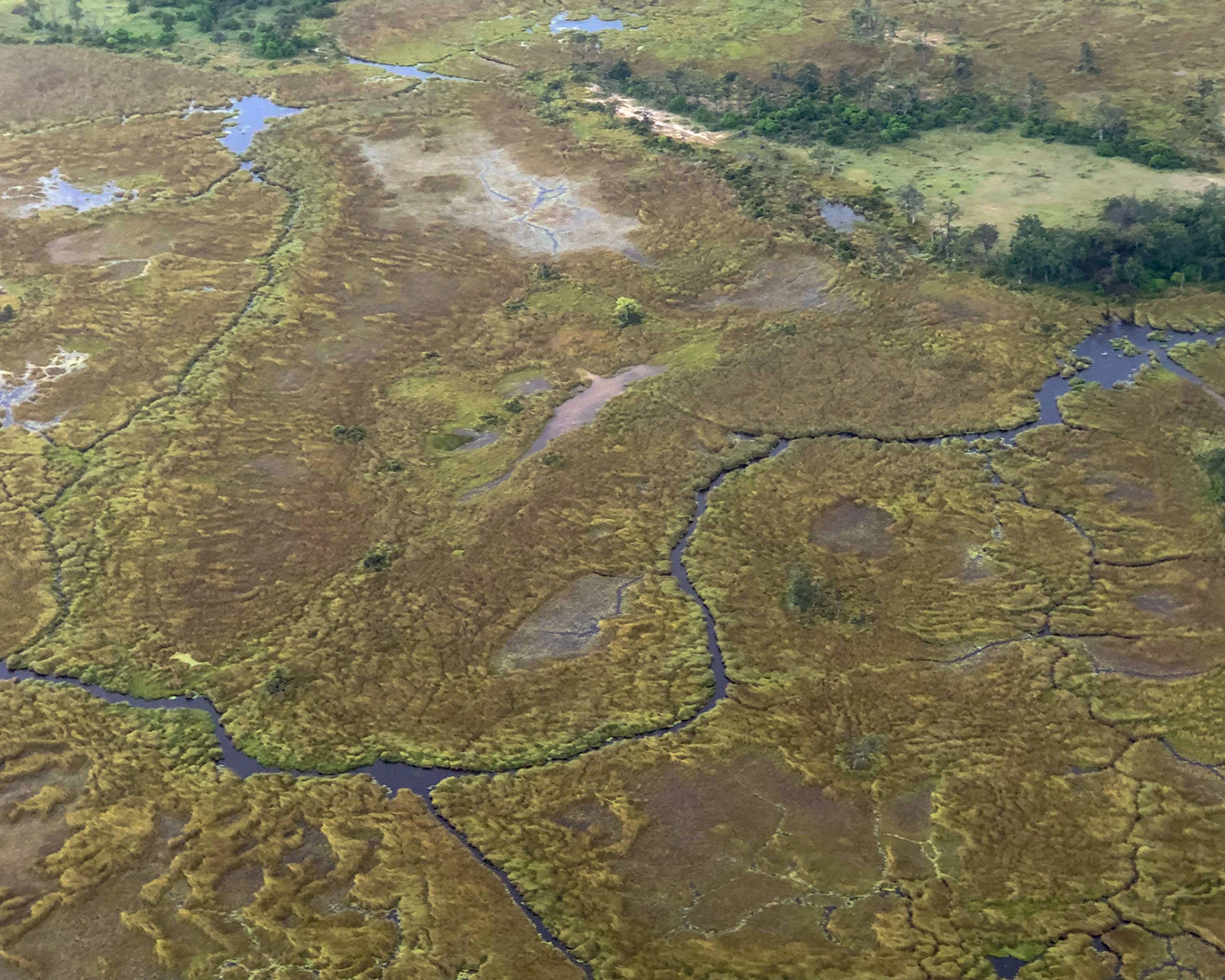 Ruta Express: Delta del Okavango, Río Chobe y Cataratas Victoria