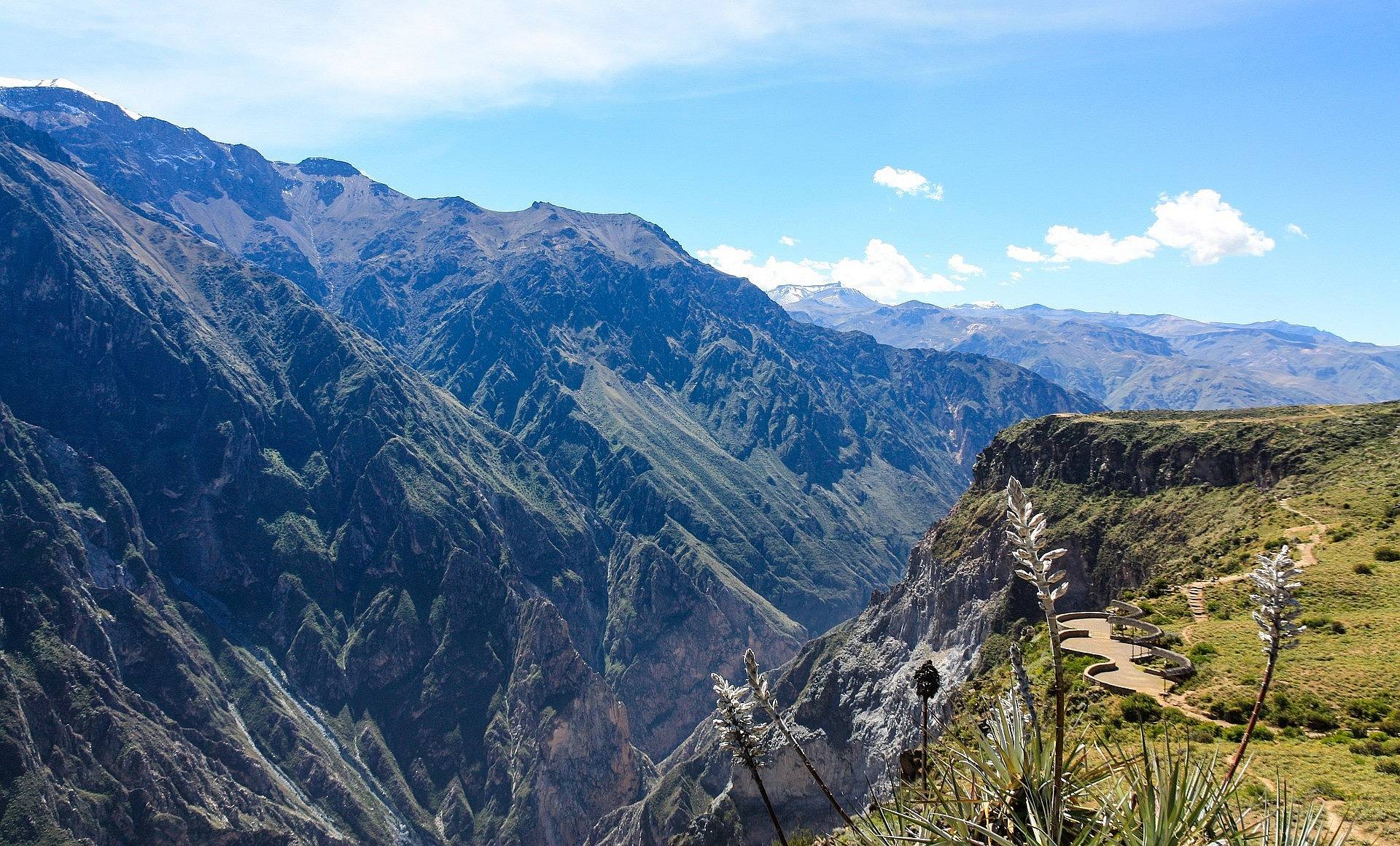 Wanderung durch den Colca Canyon und Fahrt nach Arequipa