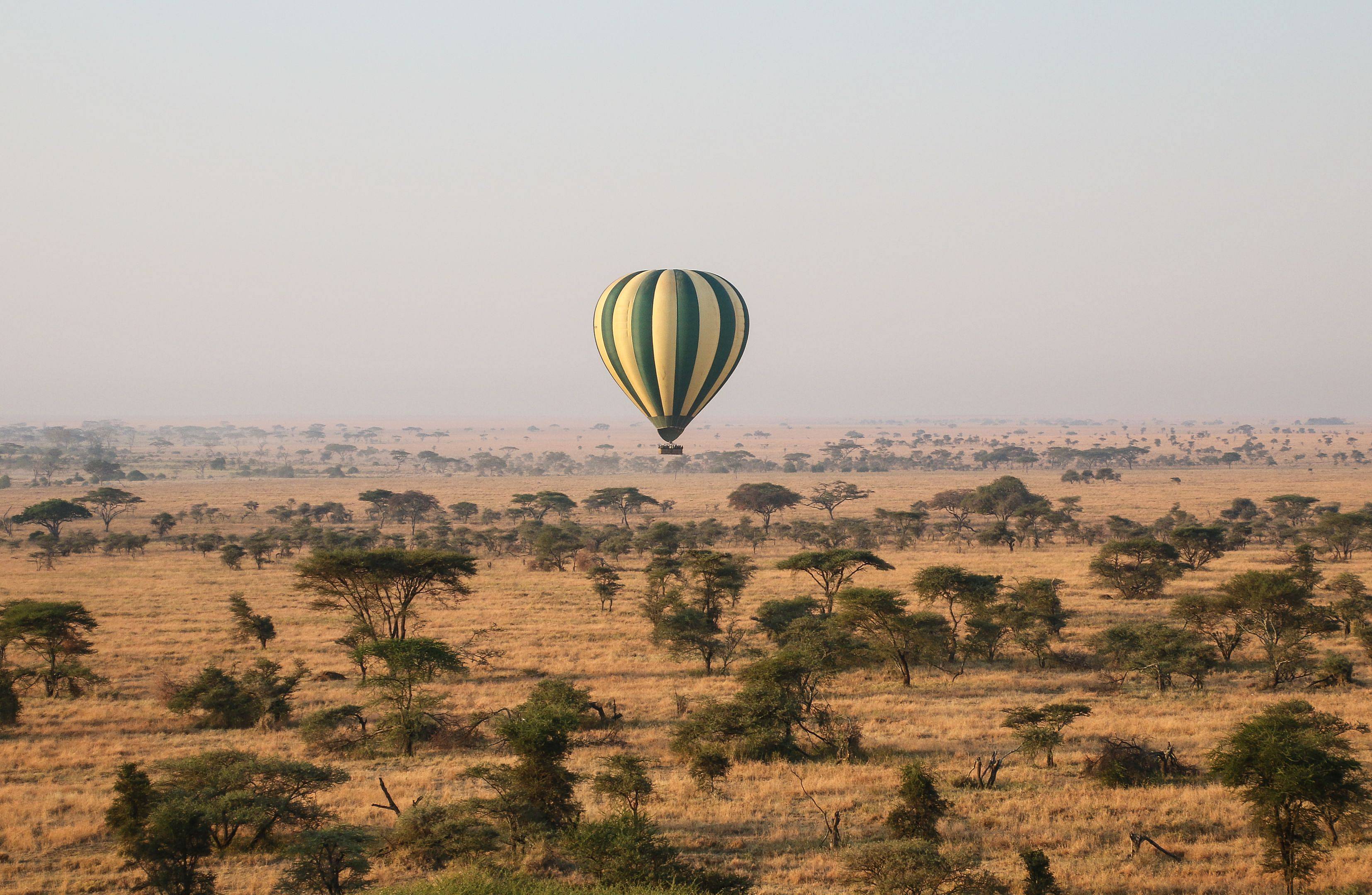 Seguendo la migrazione nel Serengeti