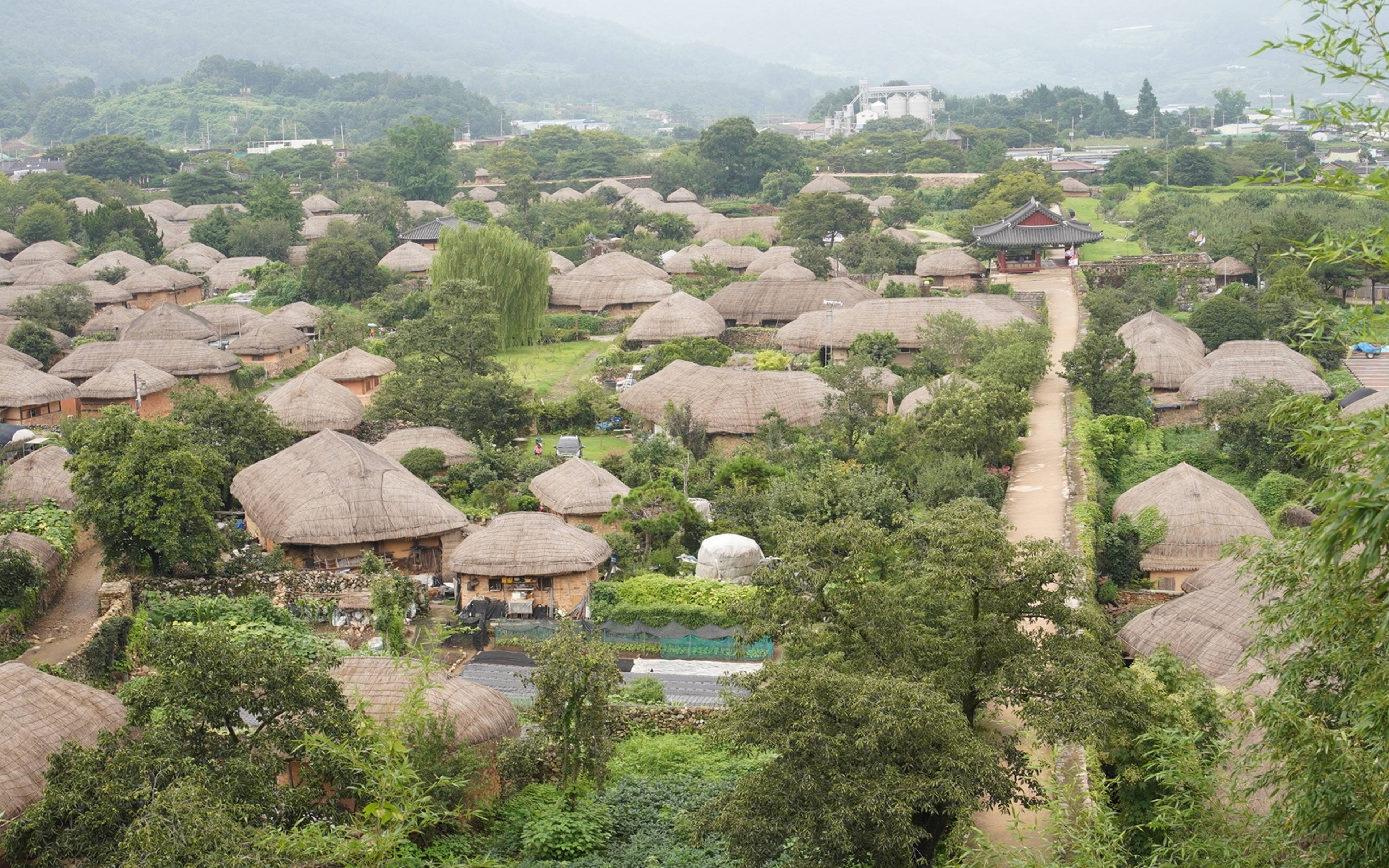 Suncheon :  Village fortifié et balade au milieu des plantations de thé