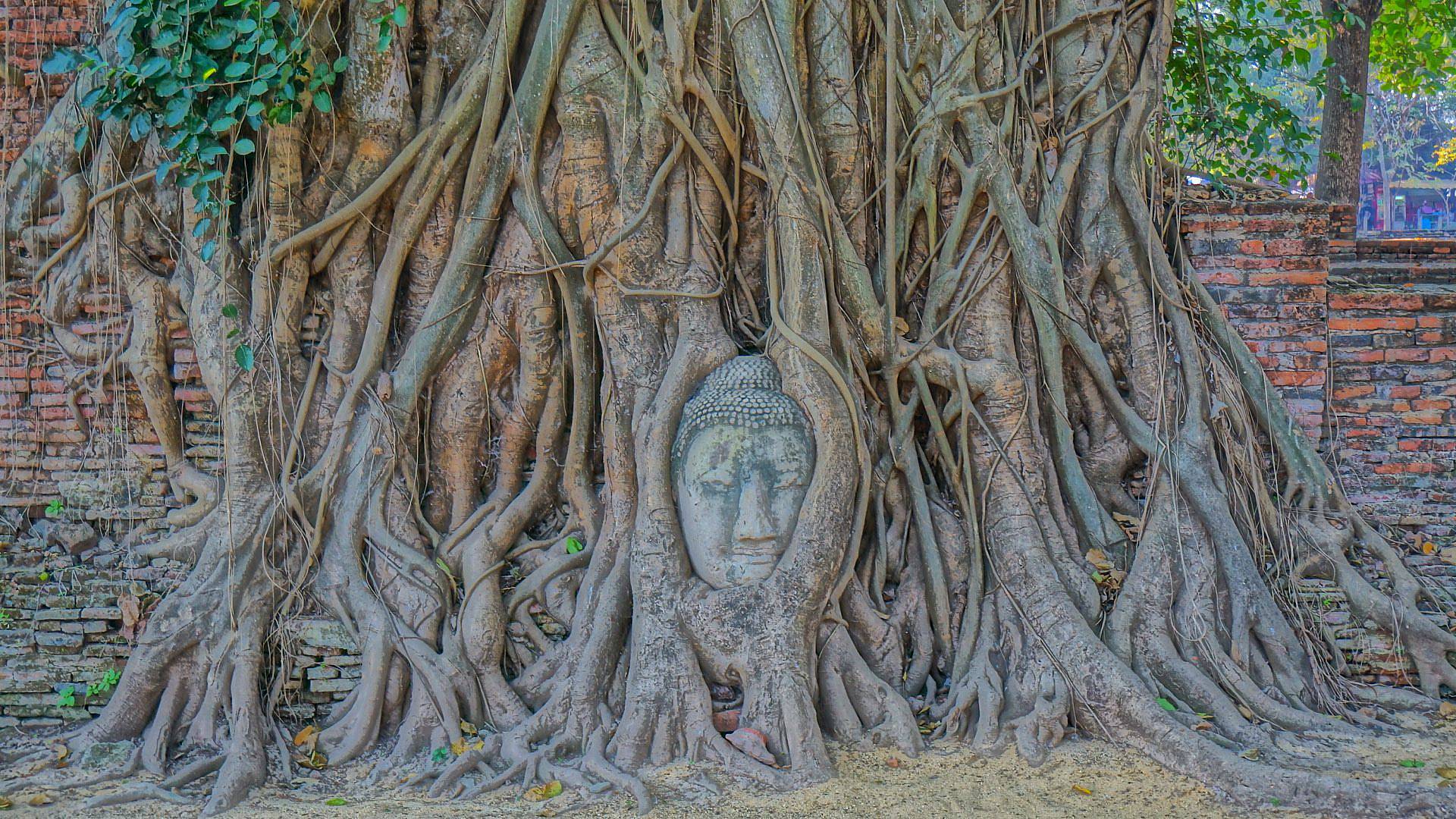Le parc historique d'Ayutthaya