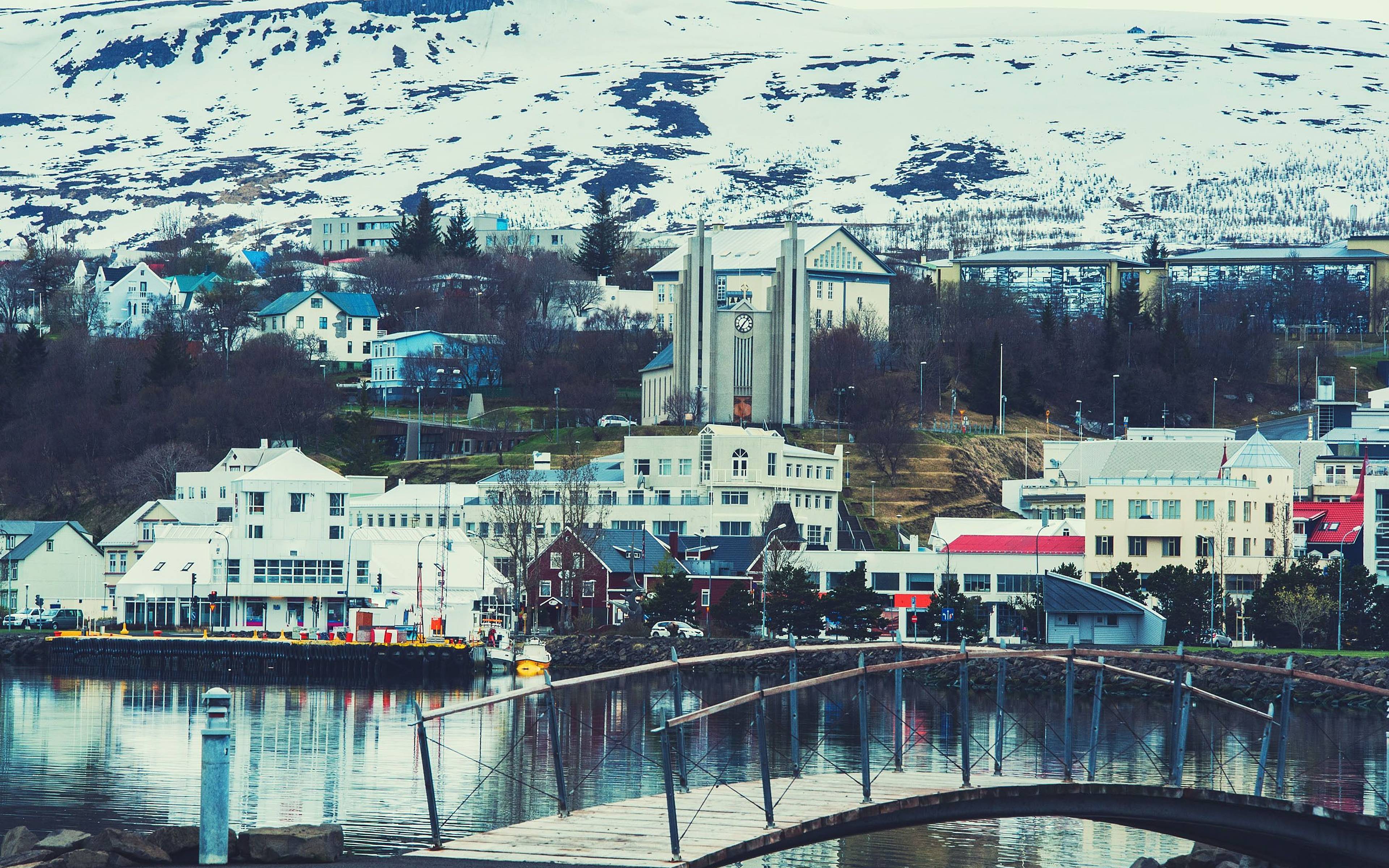 Avistamiento de ballenas en Akureyri, la capital del norte