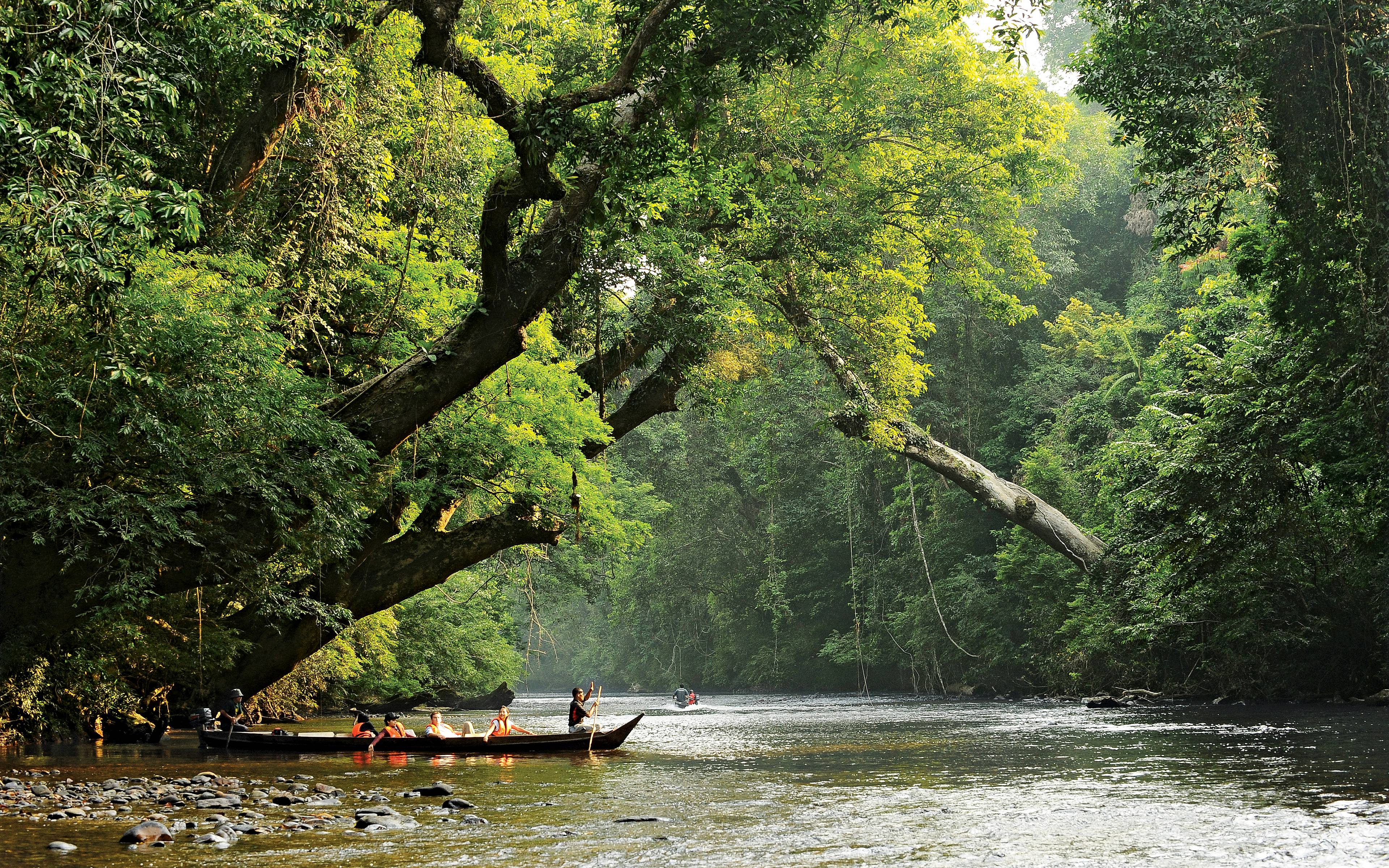 Trekking e escursione in barca nel parco nazionale Taman Negara