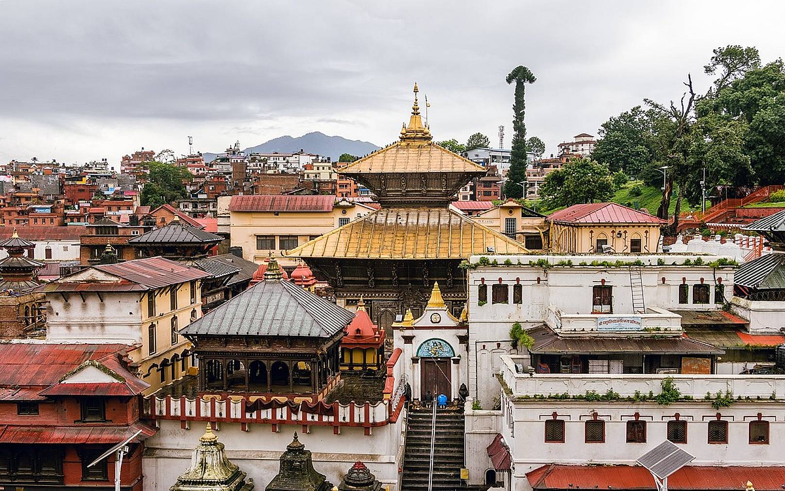 Visita a Katmandú y a su gastronomía local