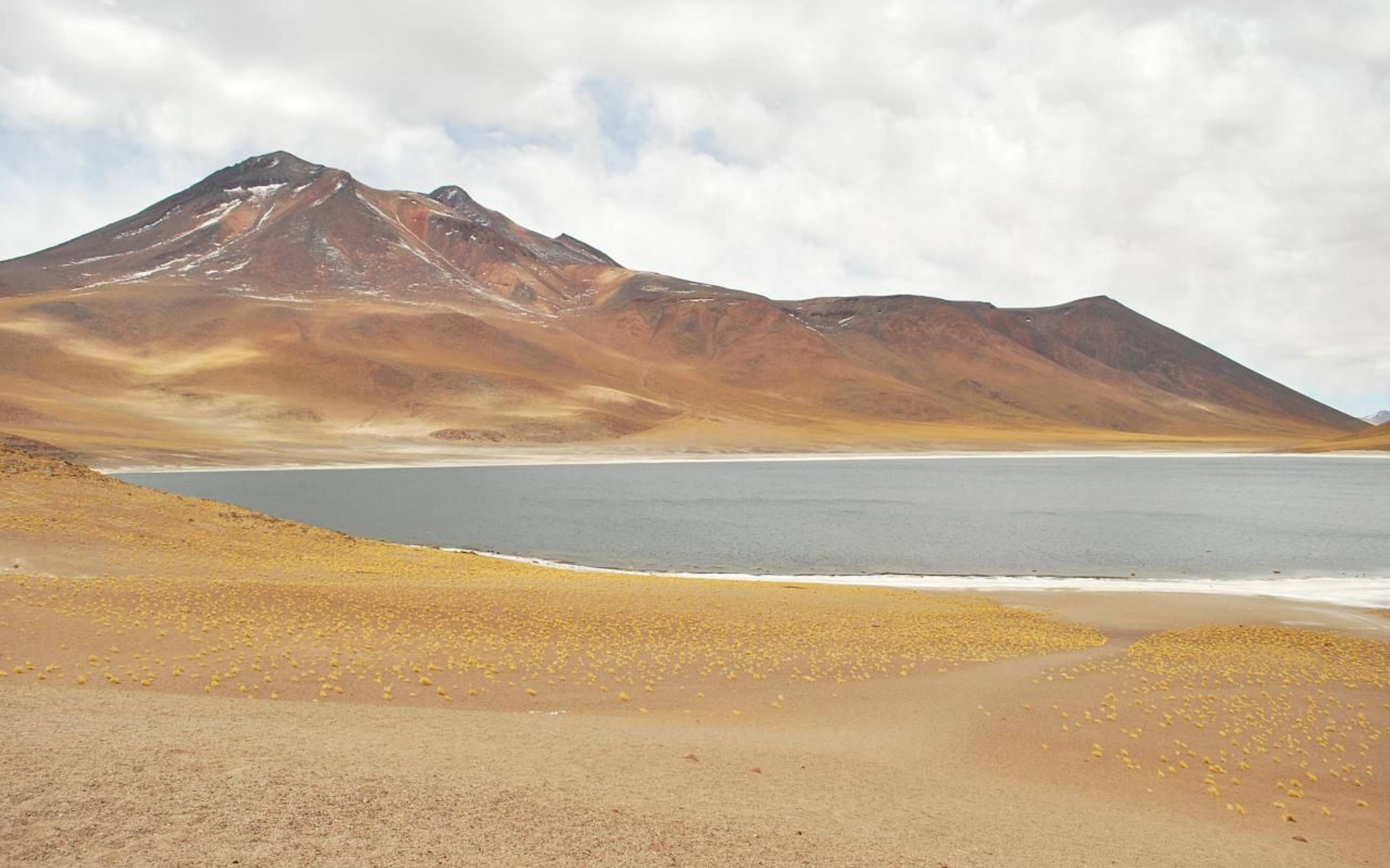 Desierto de Atacama y lagunas altiplánicas