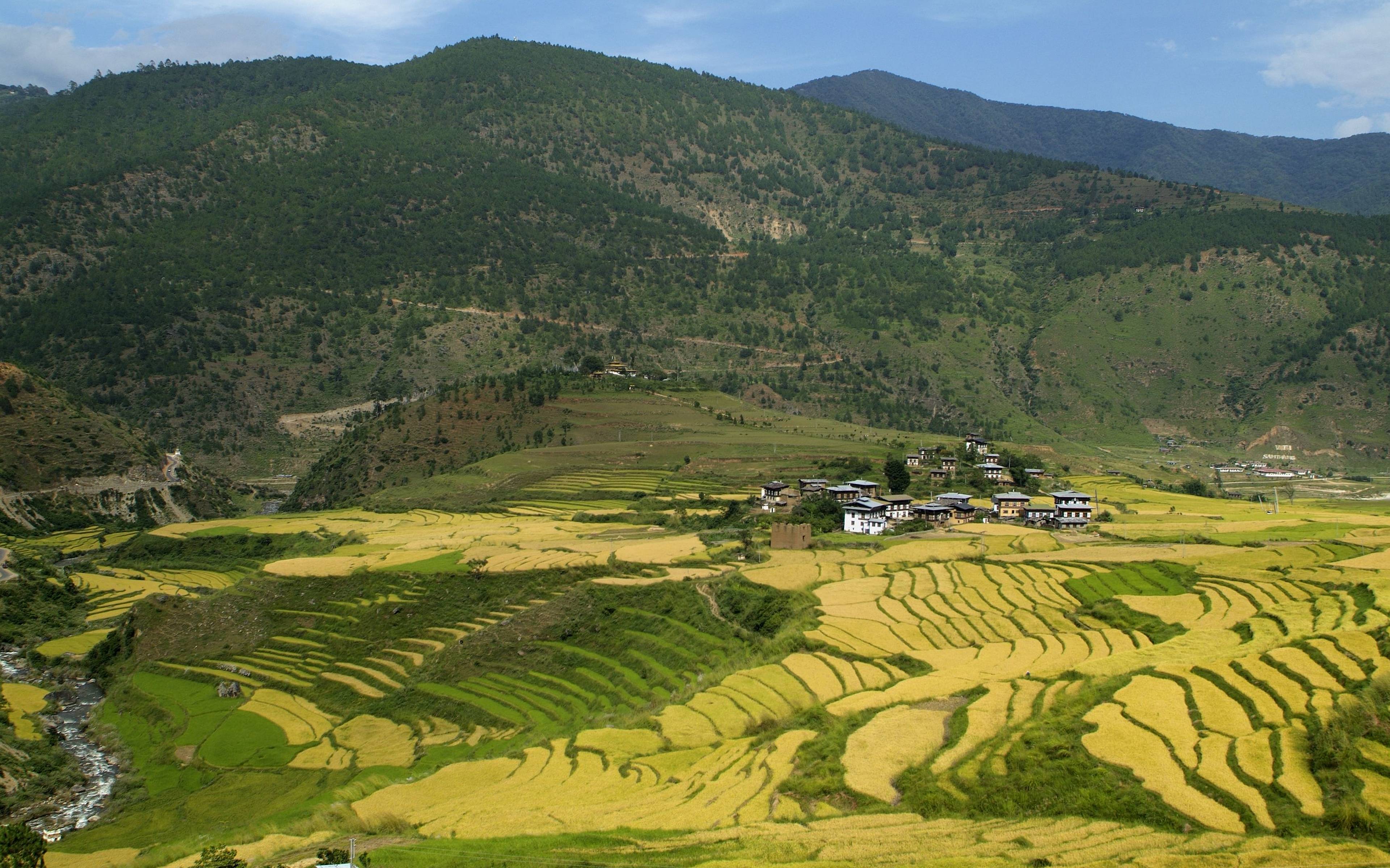 Visita della Valle di Punakha