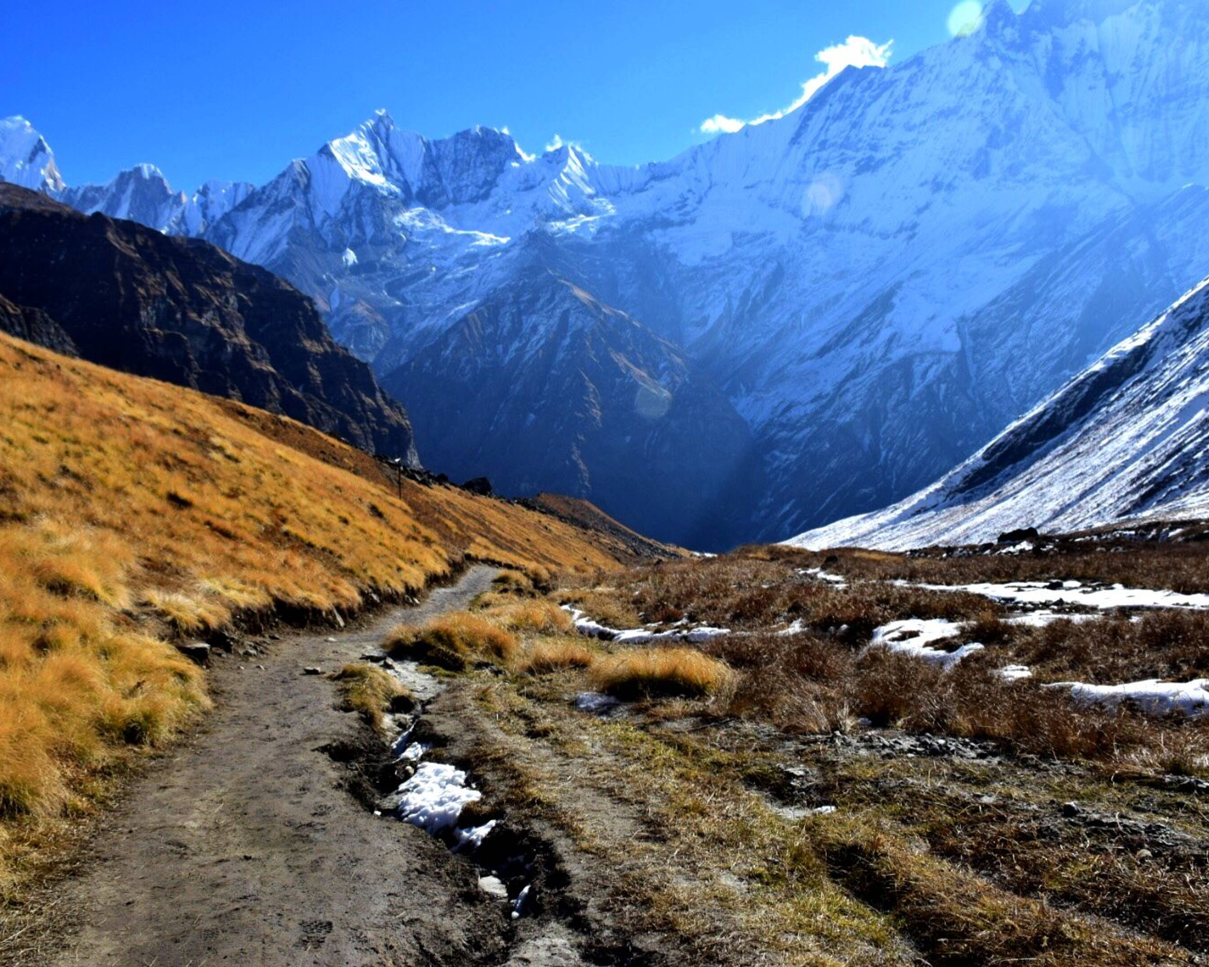 Exkursion zum magischen Himalaya