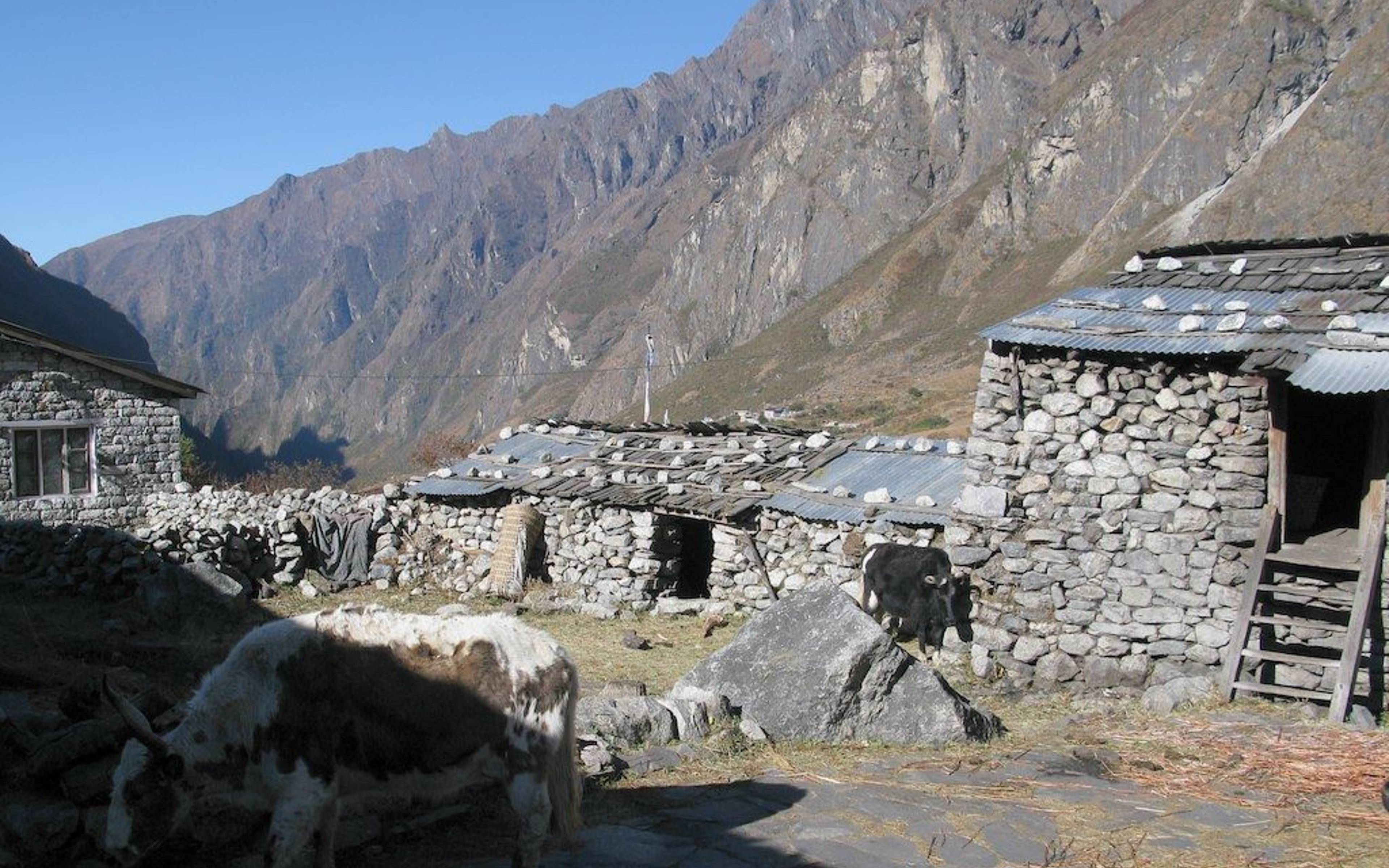 Lama Hotel - Langtang Dorf (3430 m) - 5 Stunden Wanderung