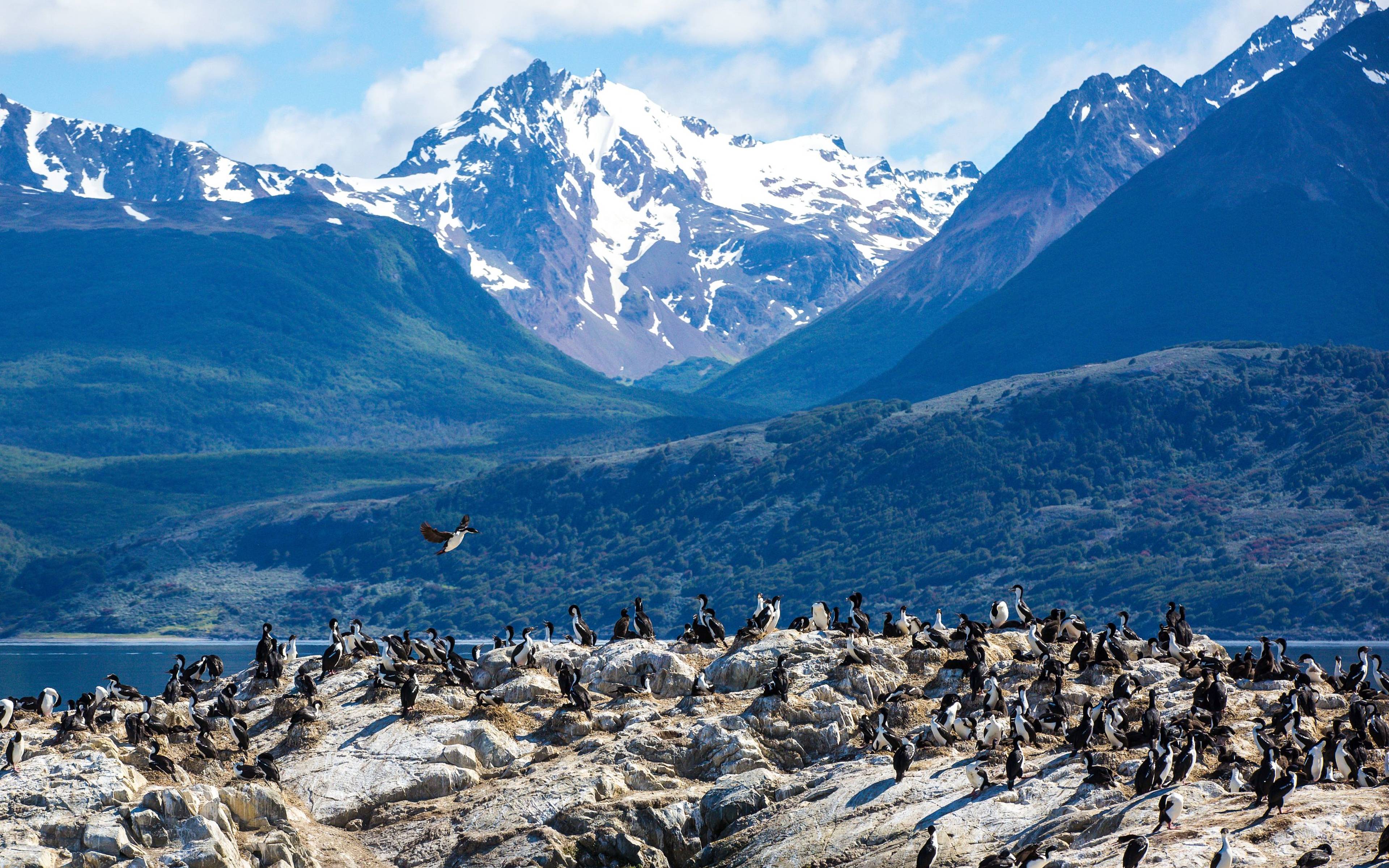 Navegando por el Parque Nacional Tierra del Fuego