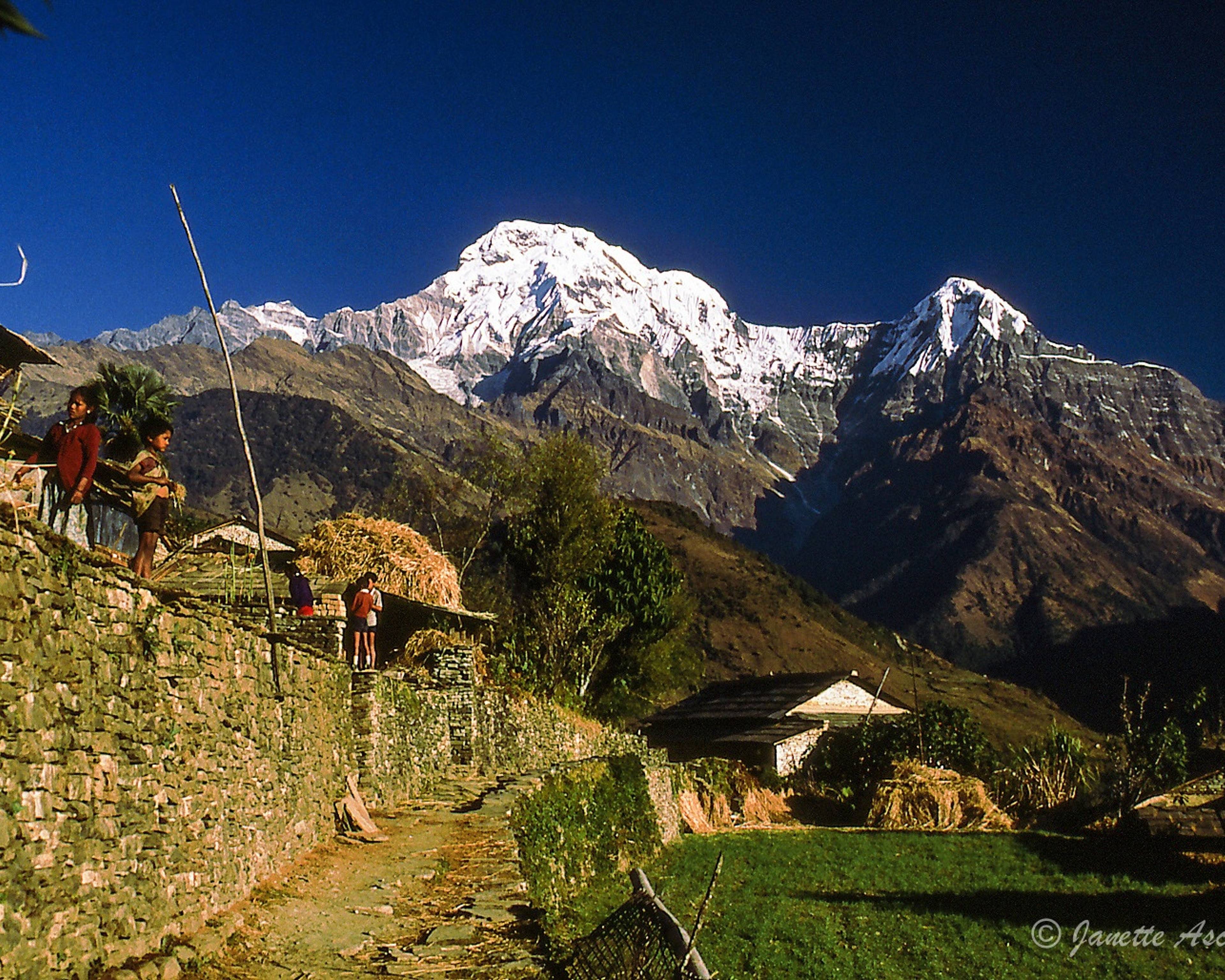 Randonnées panoramiques sur les contreforts de l'Annapurna