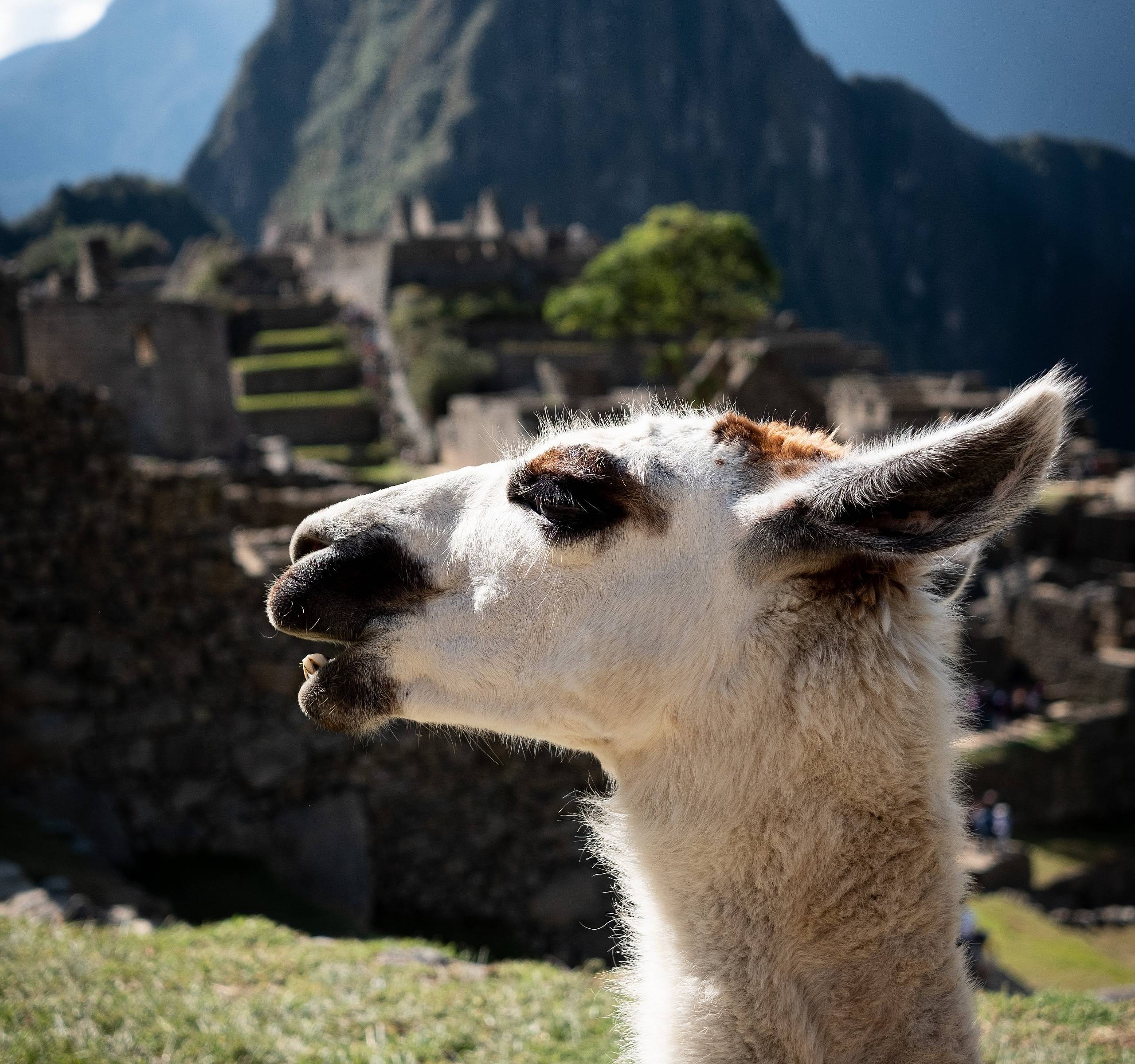 Machu Picchu-Tour