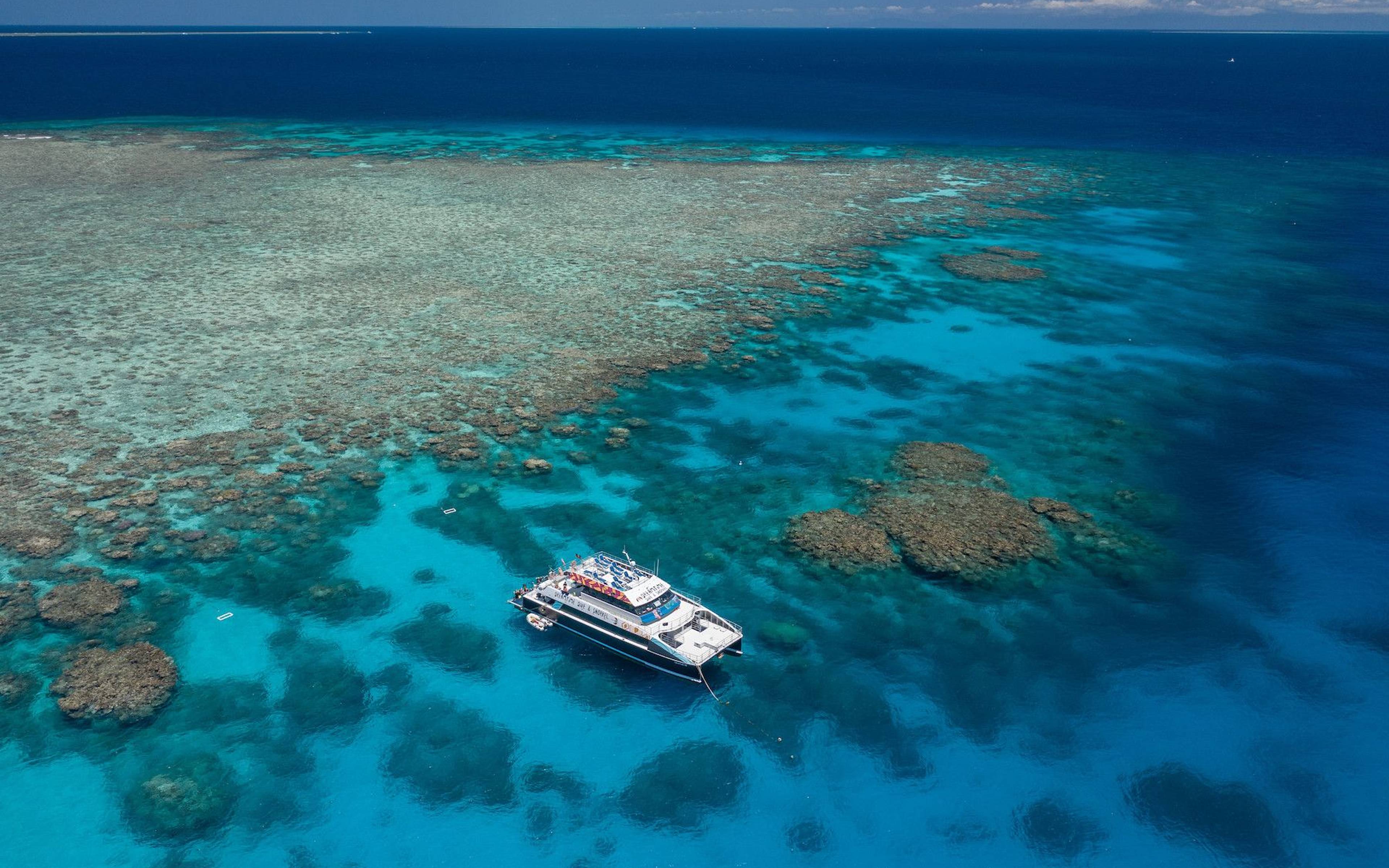 Déjate cautivar por las maravillas de la Gran Barrera de Coral