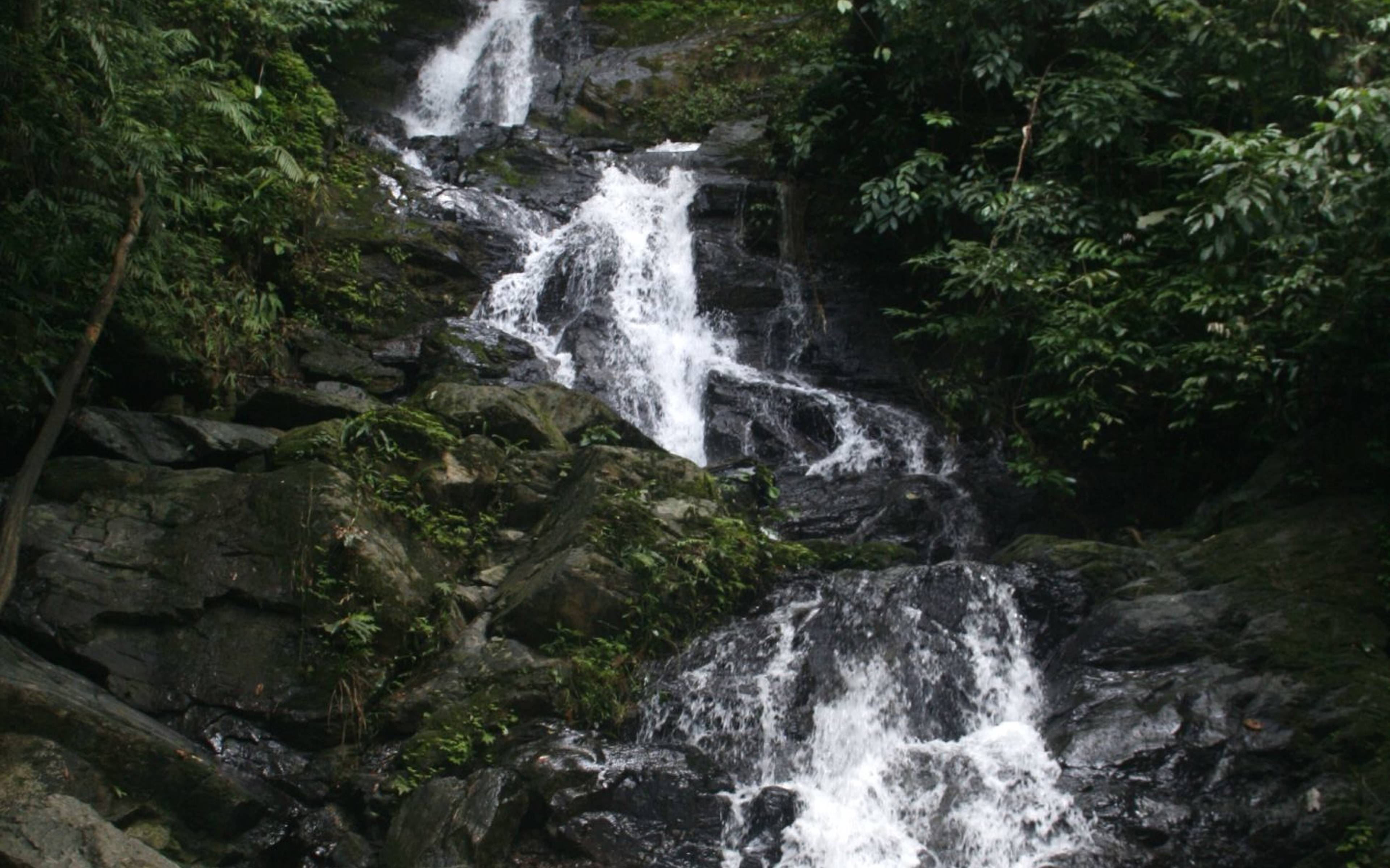 Wanderungen und Wasserfälle im Khao Sok Nationalpark 