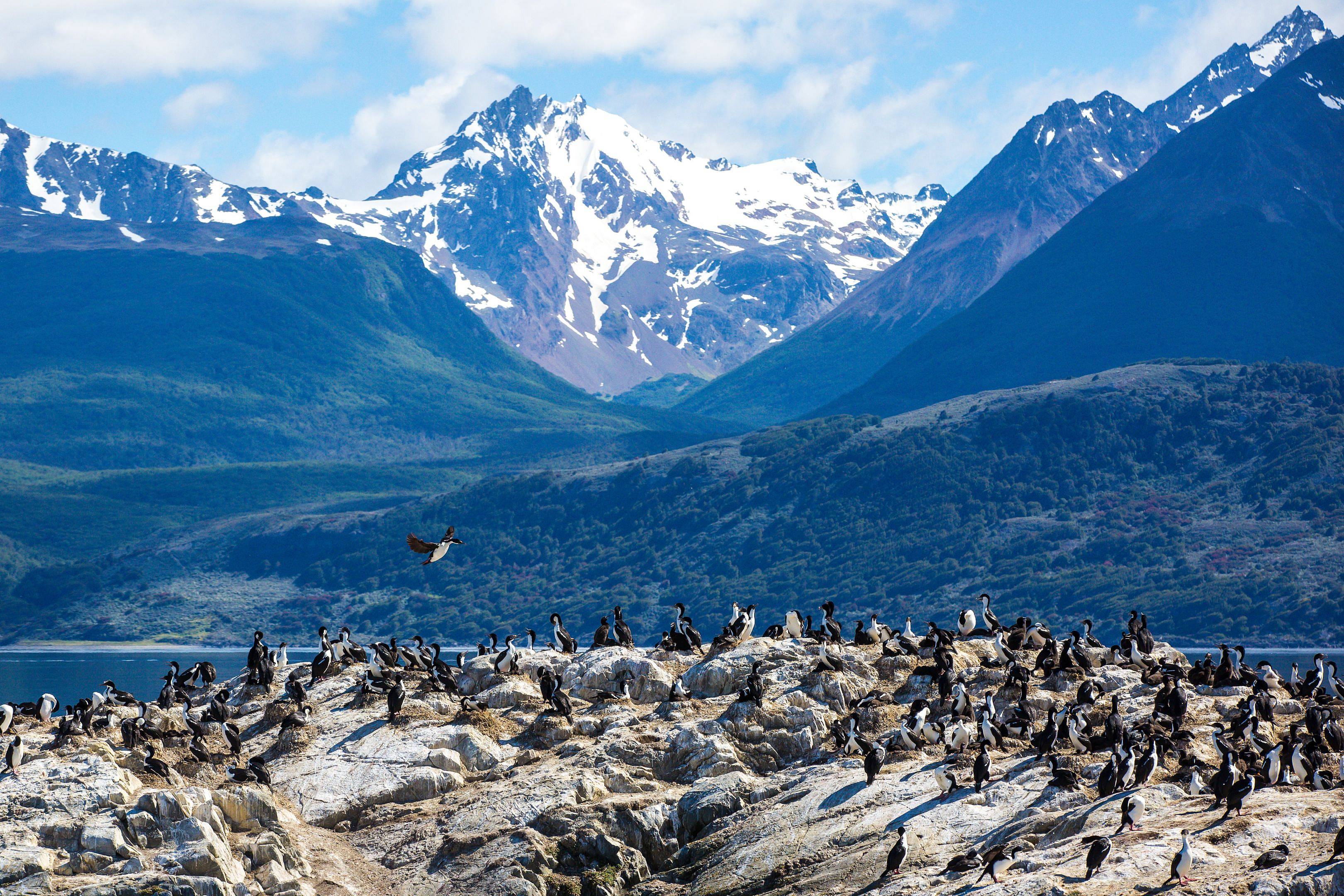 El glaciar Perito Moreno y safari náutico