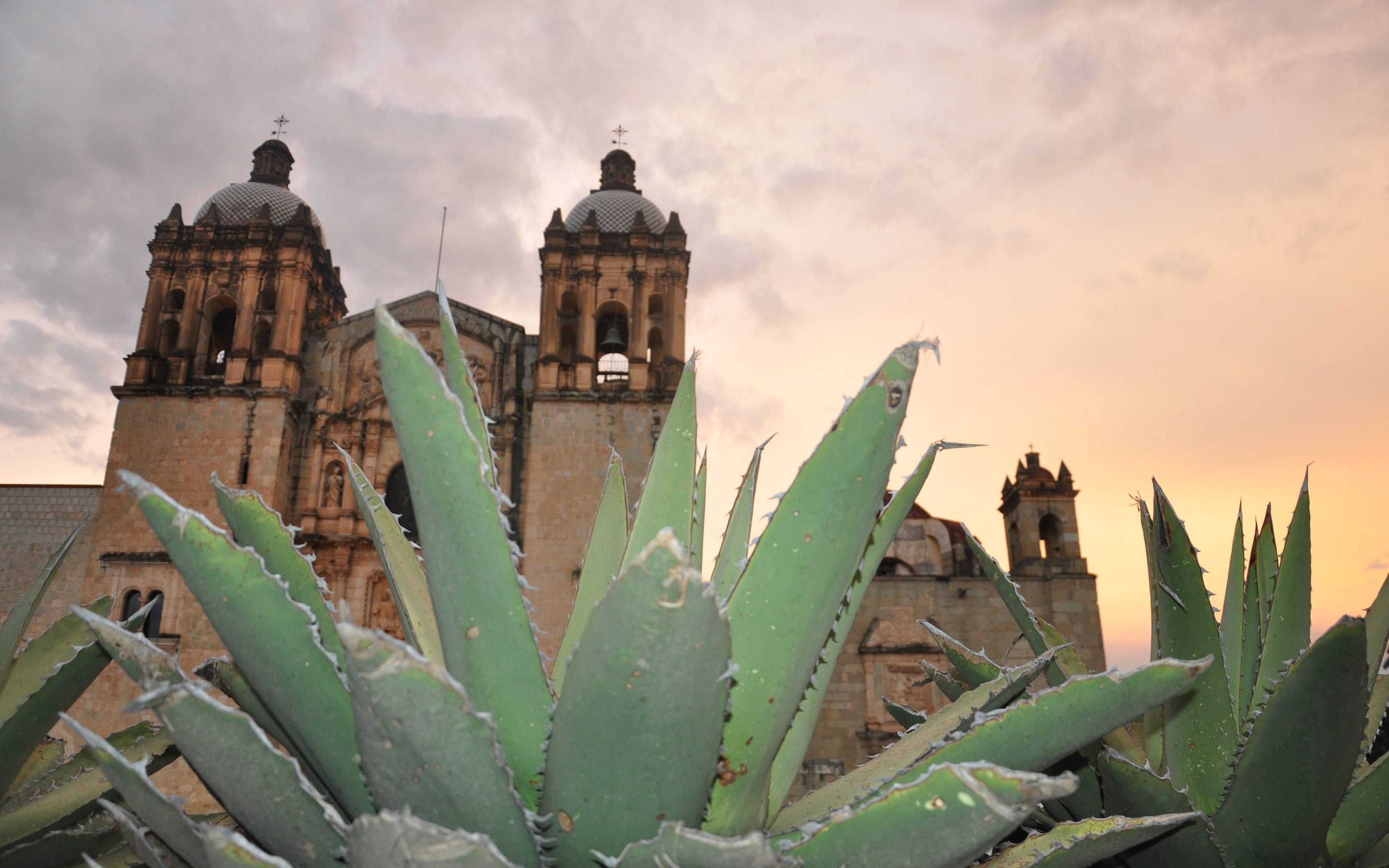 Mexiko City und Stadtrundgang Oaxaca (Privat)