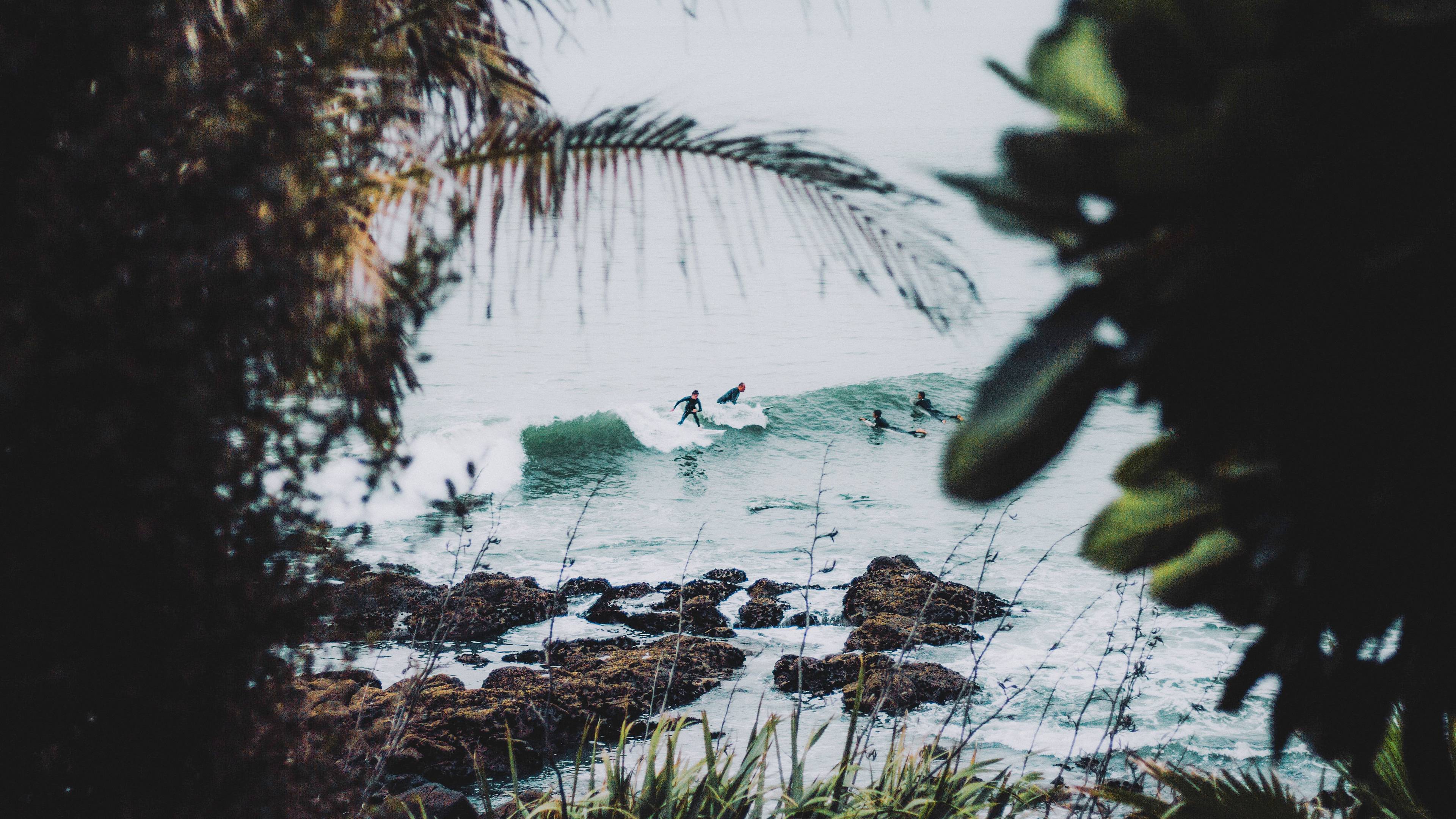 Australische Surfer durch die Vegetation gesehen