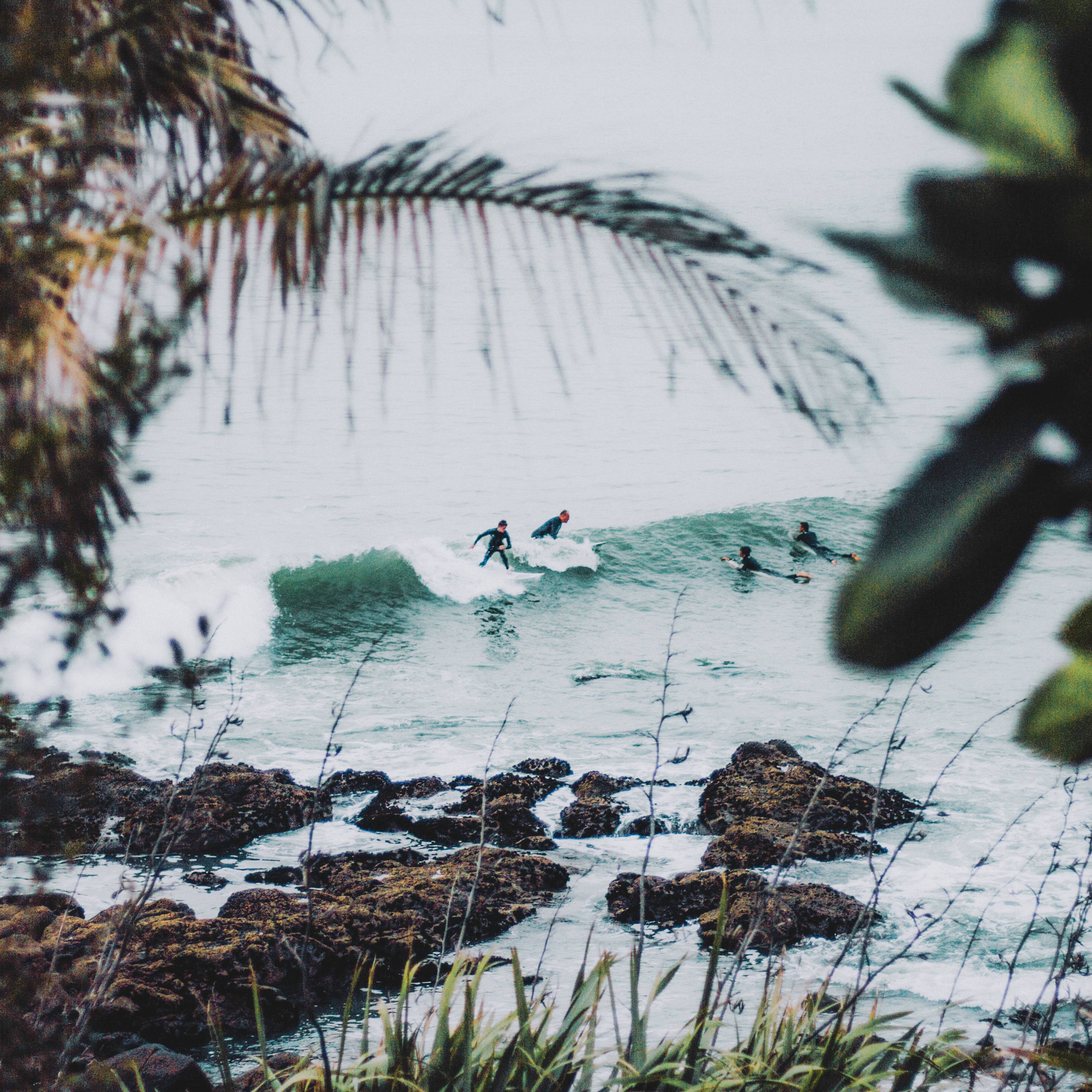Australische Surfer durch die Vegetation gesehen