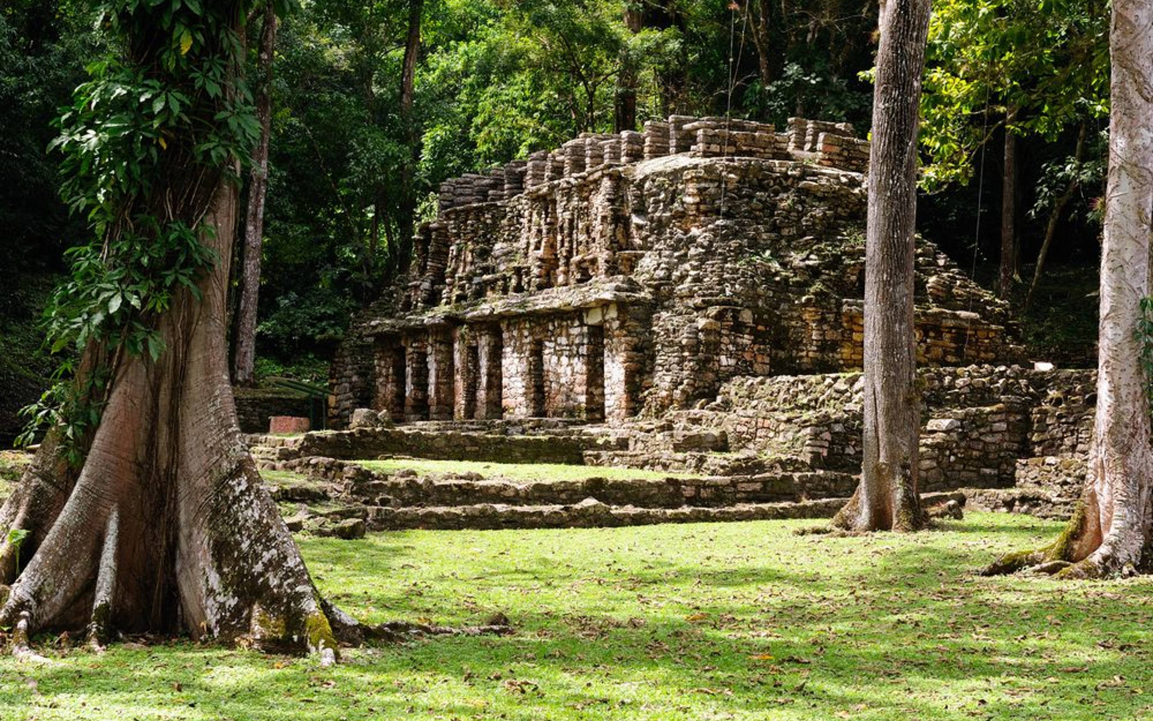 Yaxchilán und Bonampak - ​Höhepunkte der Maya Welt