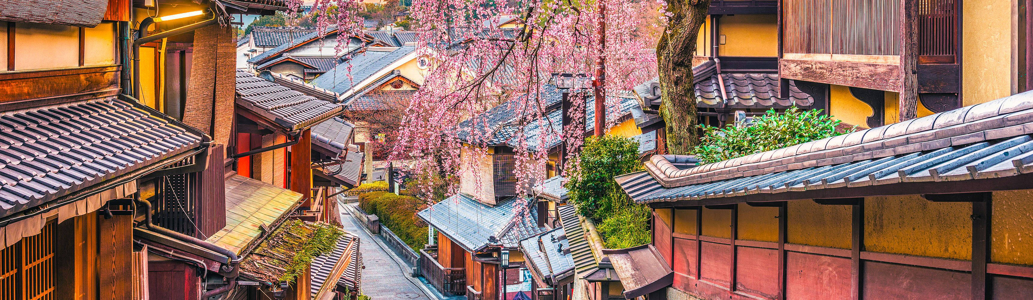 Crea tu viaje a Japón en septiembre 100% a medida