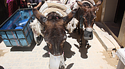 voyage au maroc quoi emmener