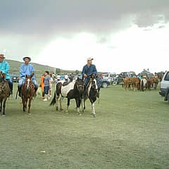 Le festival du Naadam en Mongolie