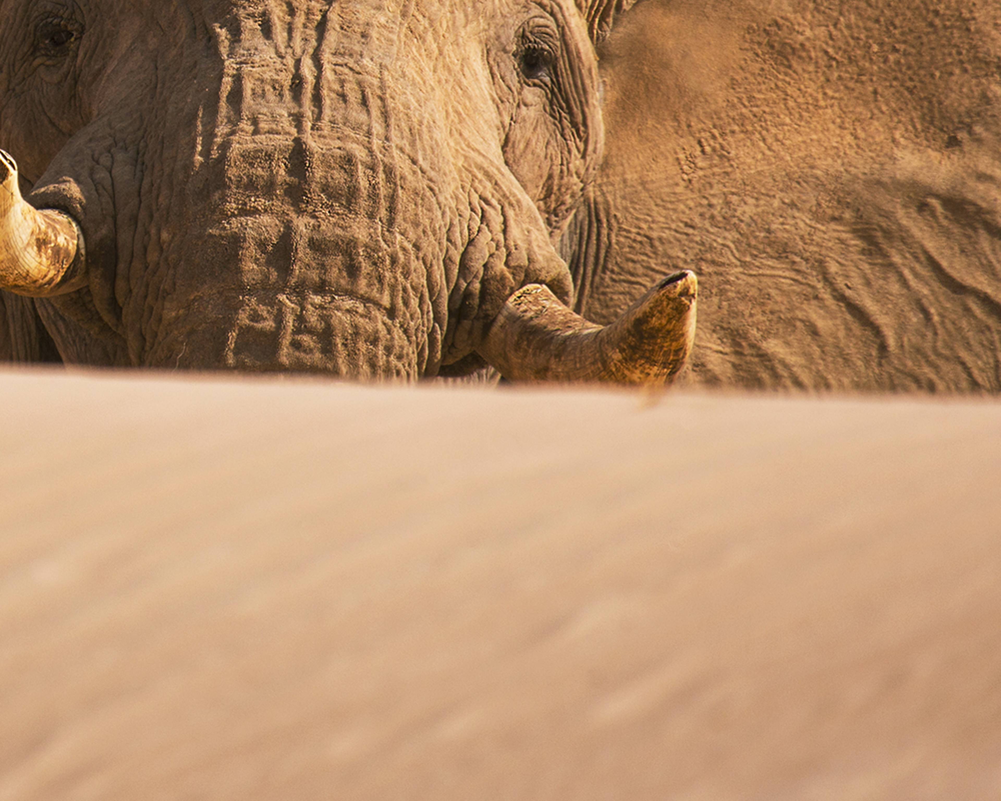 Individuelle Safari Reisen Namibia - Reise jetzt individuell gestalten
