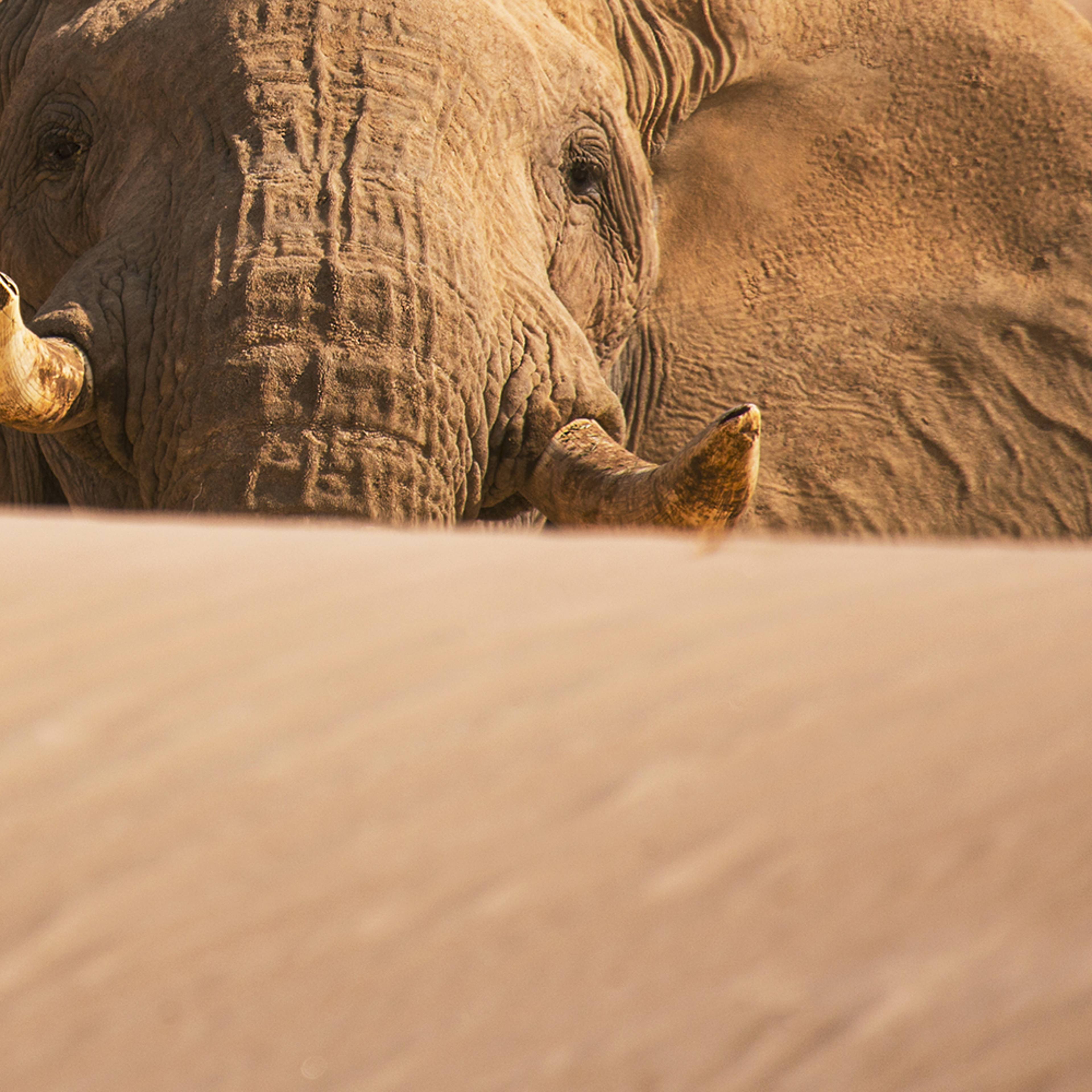 Safari en Namibia 100% a medida