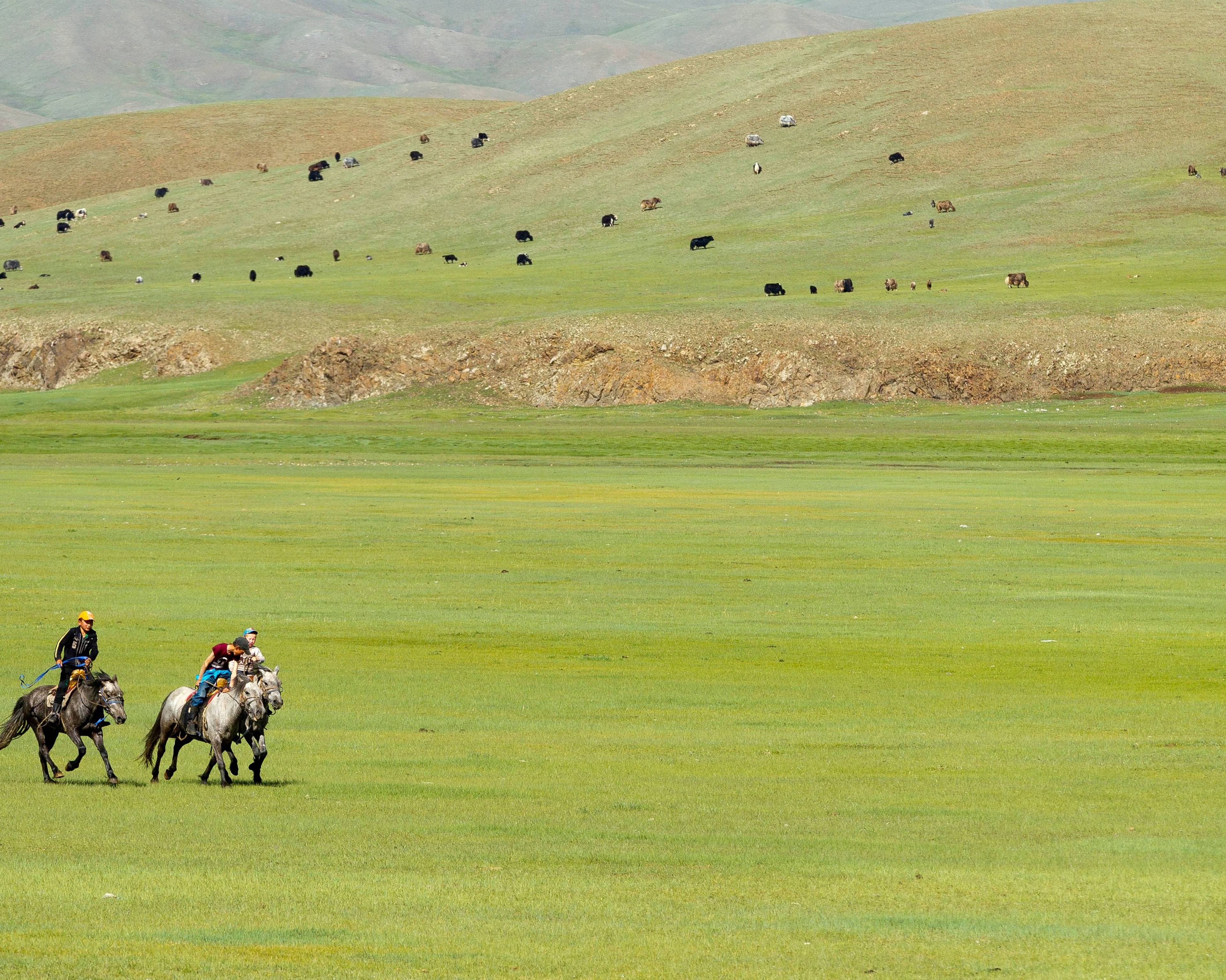 Randonnée à cheval dans les steppes mongoles