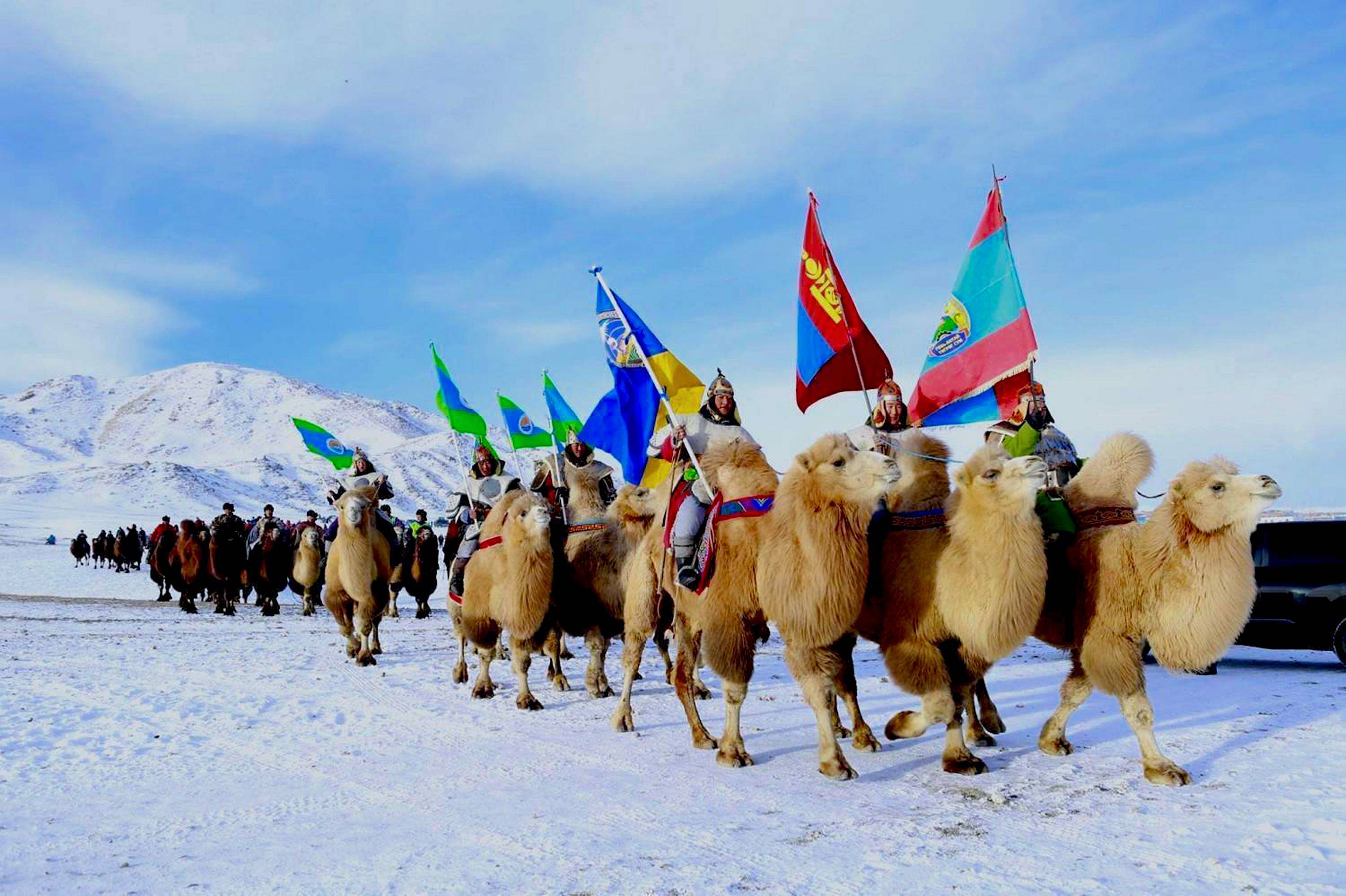 Cammelli e deserto del Gobi in inverno