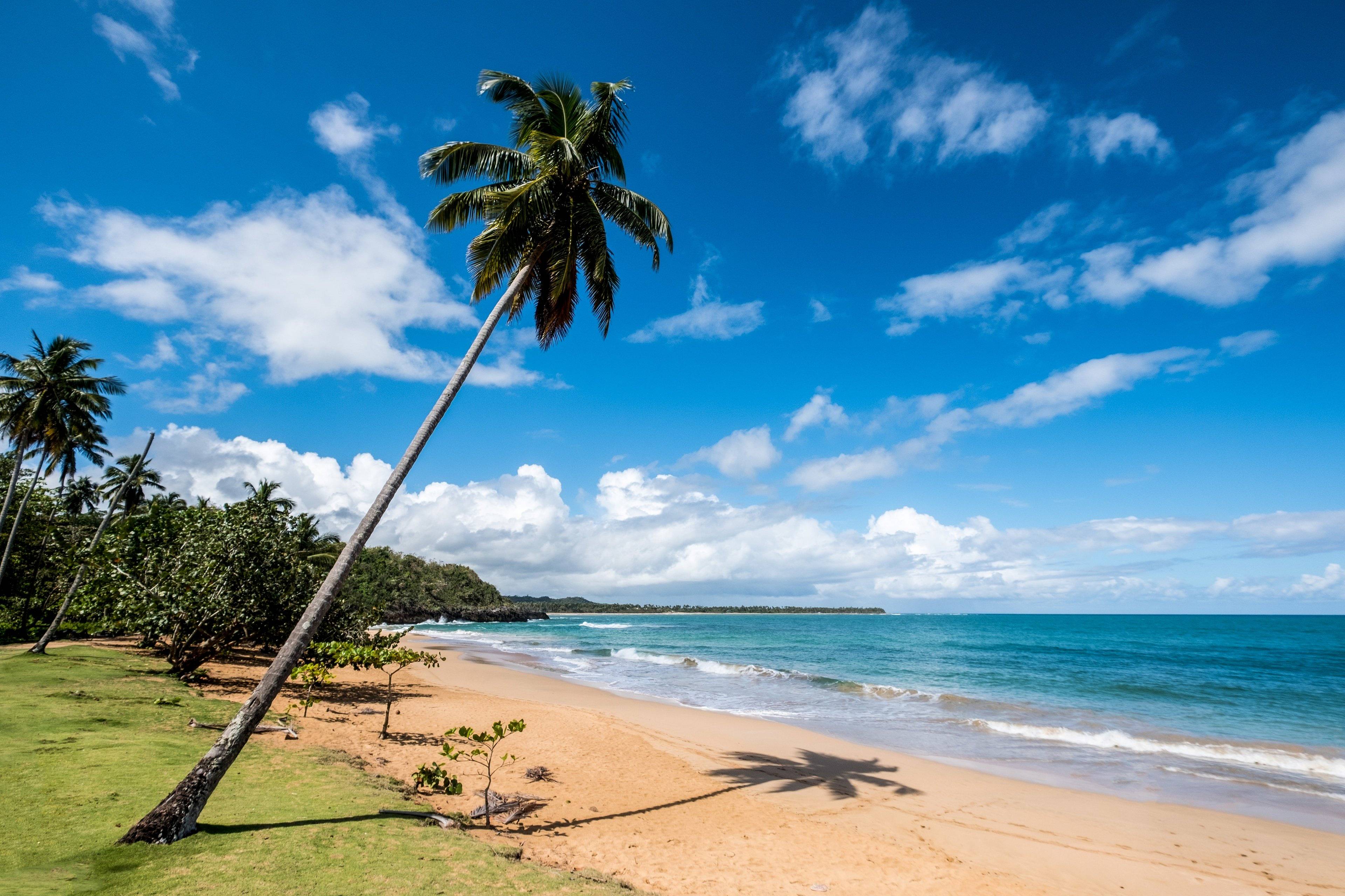 Découverte des merveilleuses plages dominicaines