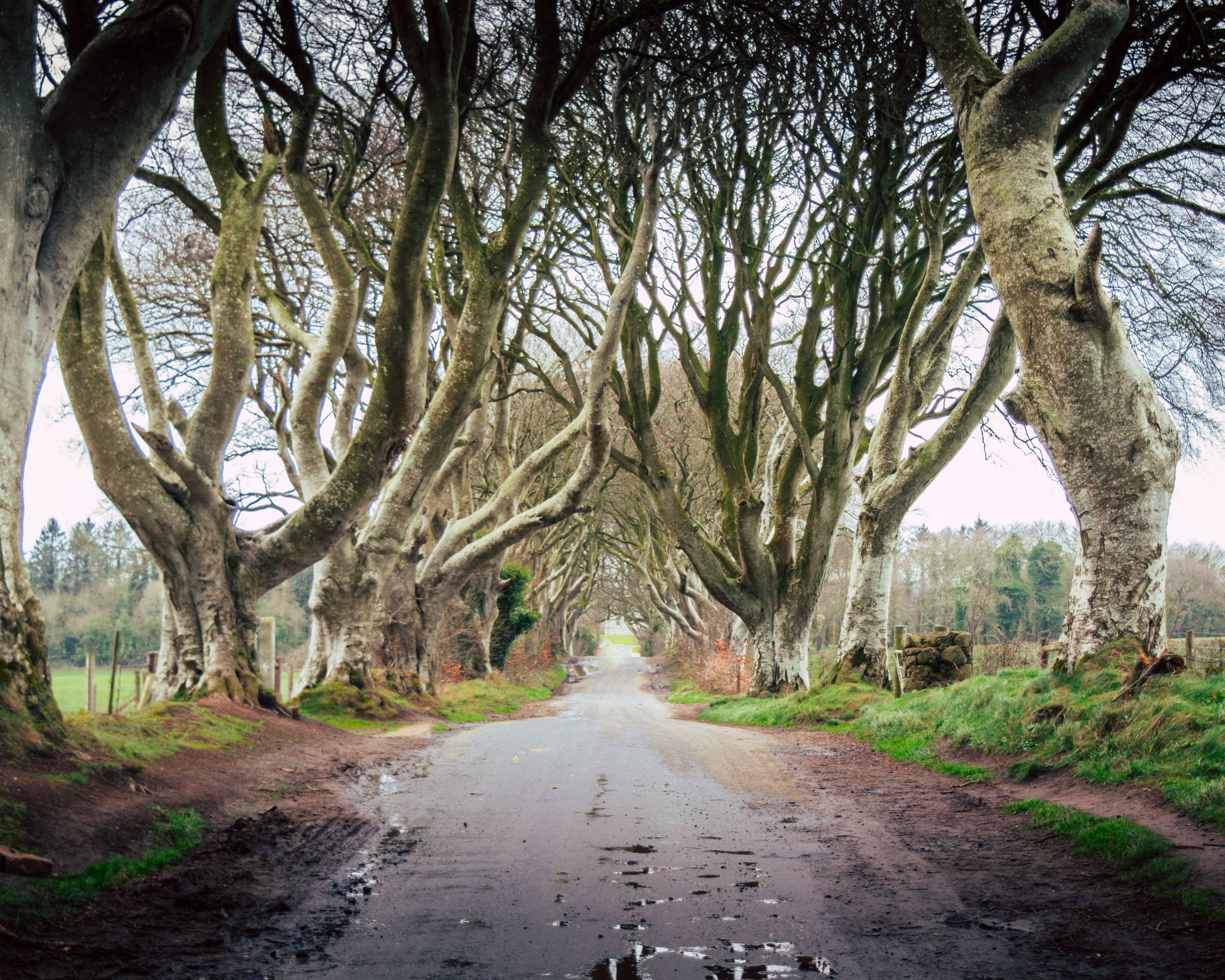Sur les traces de Game of Thrones - De Dublin à l'Irlande du Nord