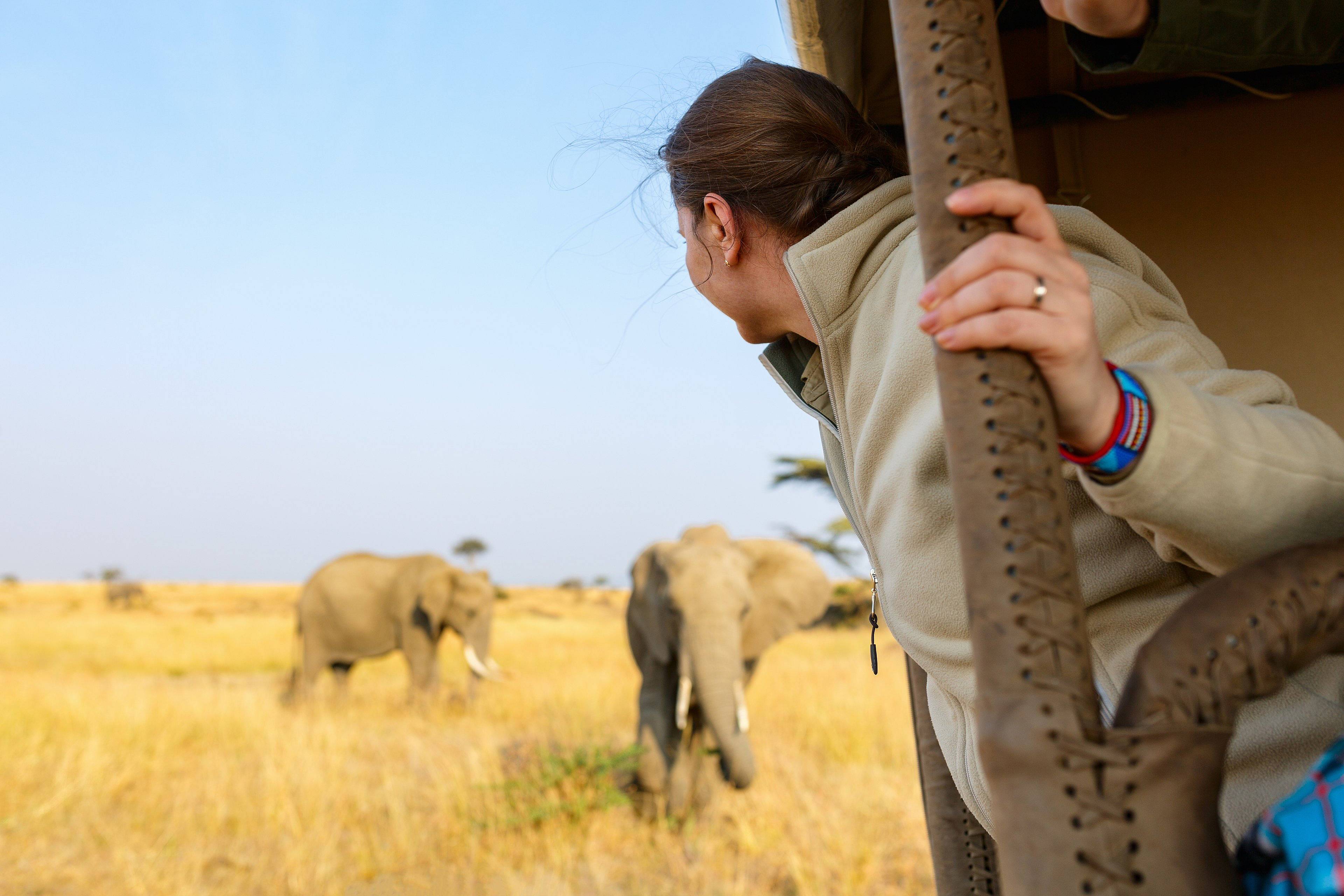 Slow safaris en famille au parc Kruger