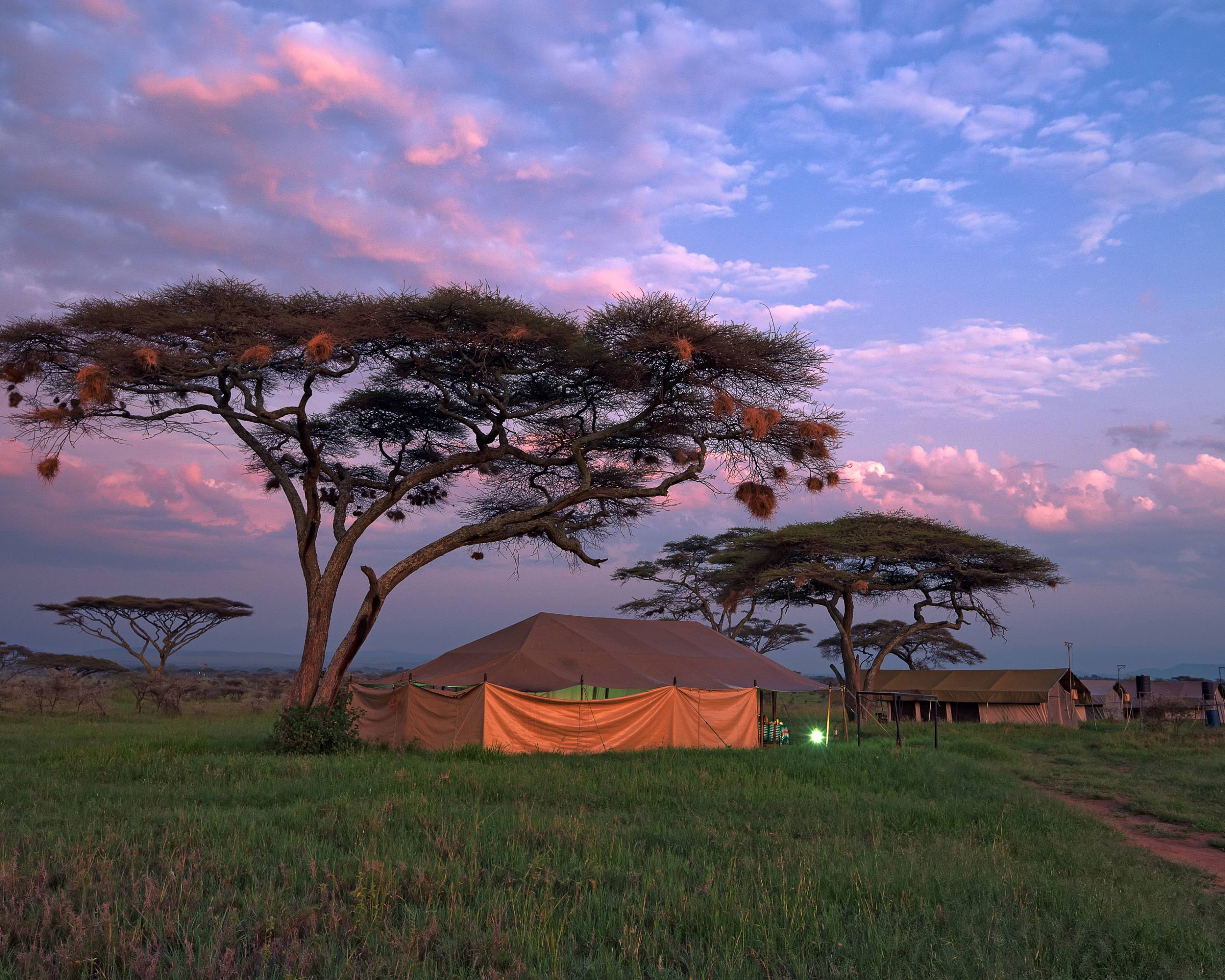 Camping-Safari durch die schönsten Nationalparks