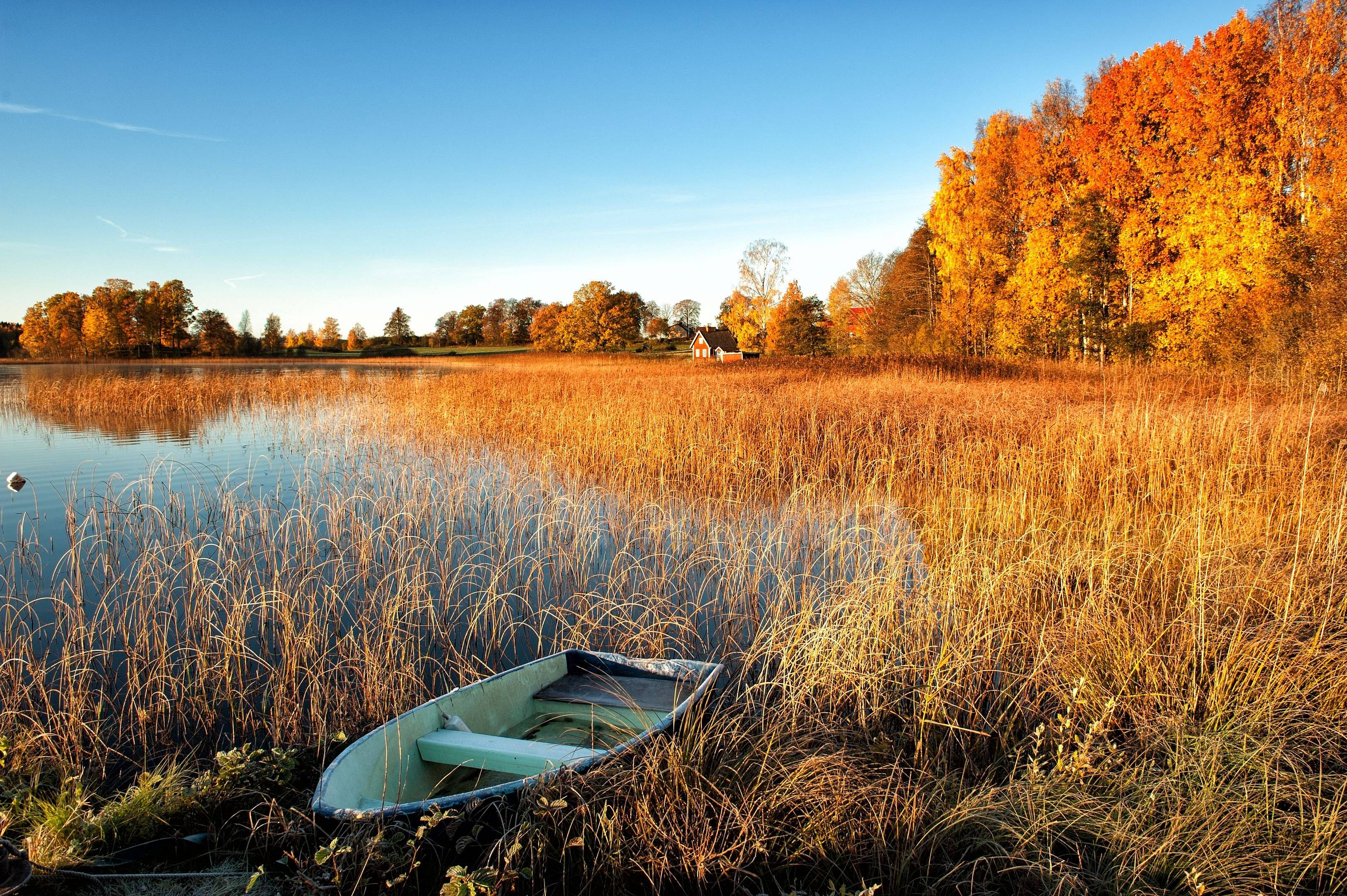 Herbstliche Auszeit in der Stockholmer Schärenregion: Kultur und Natur 