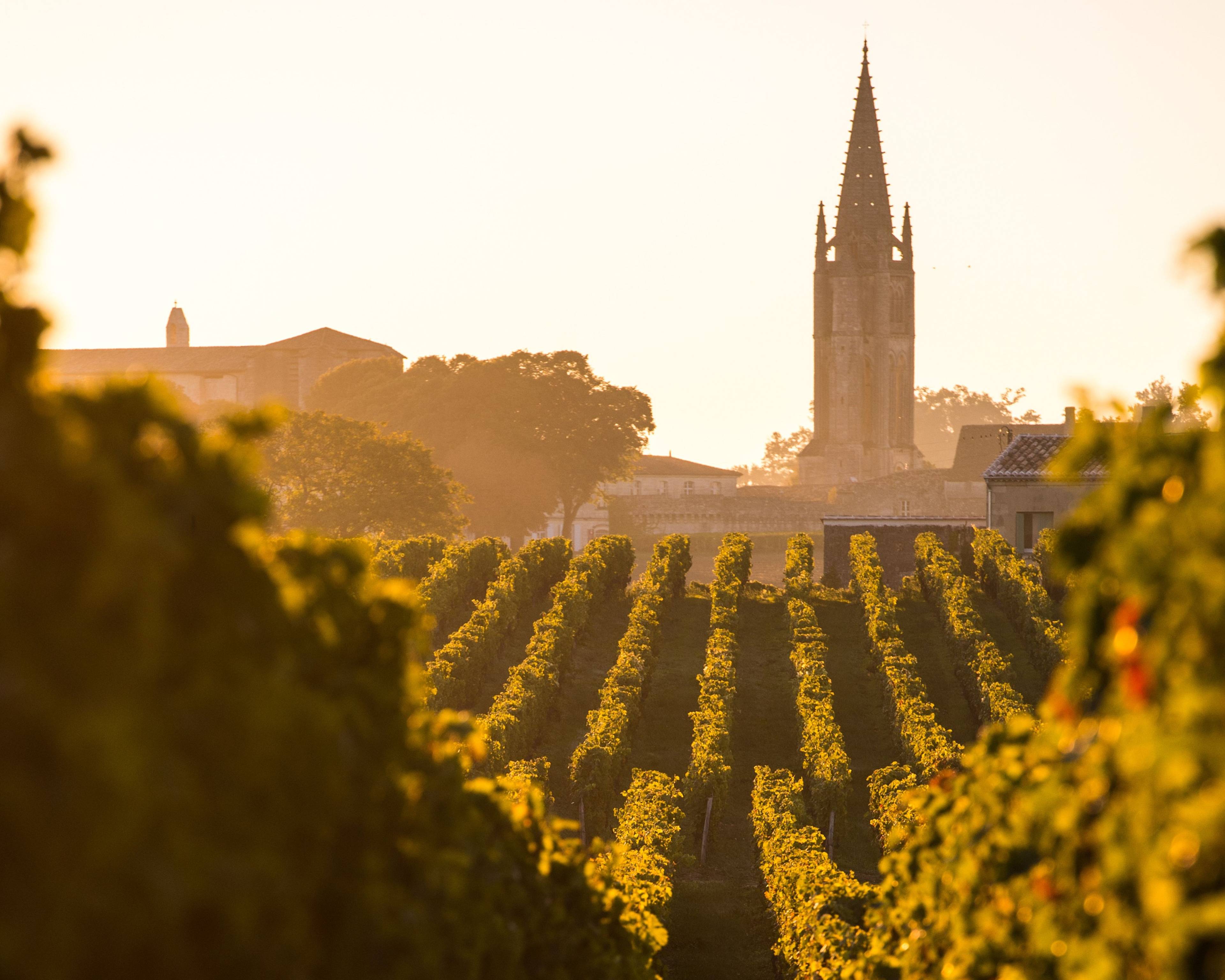 Bordeaux, ses vignobles et Arcachon