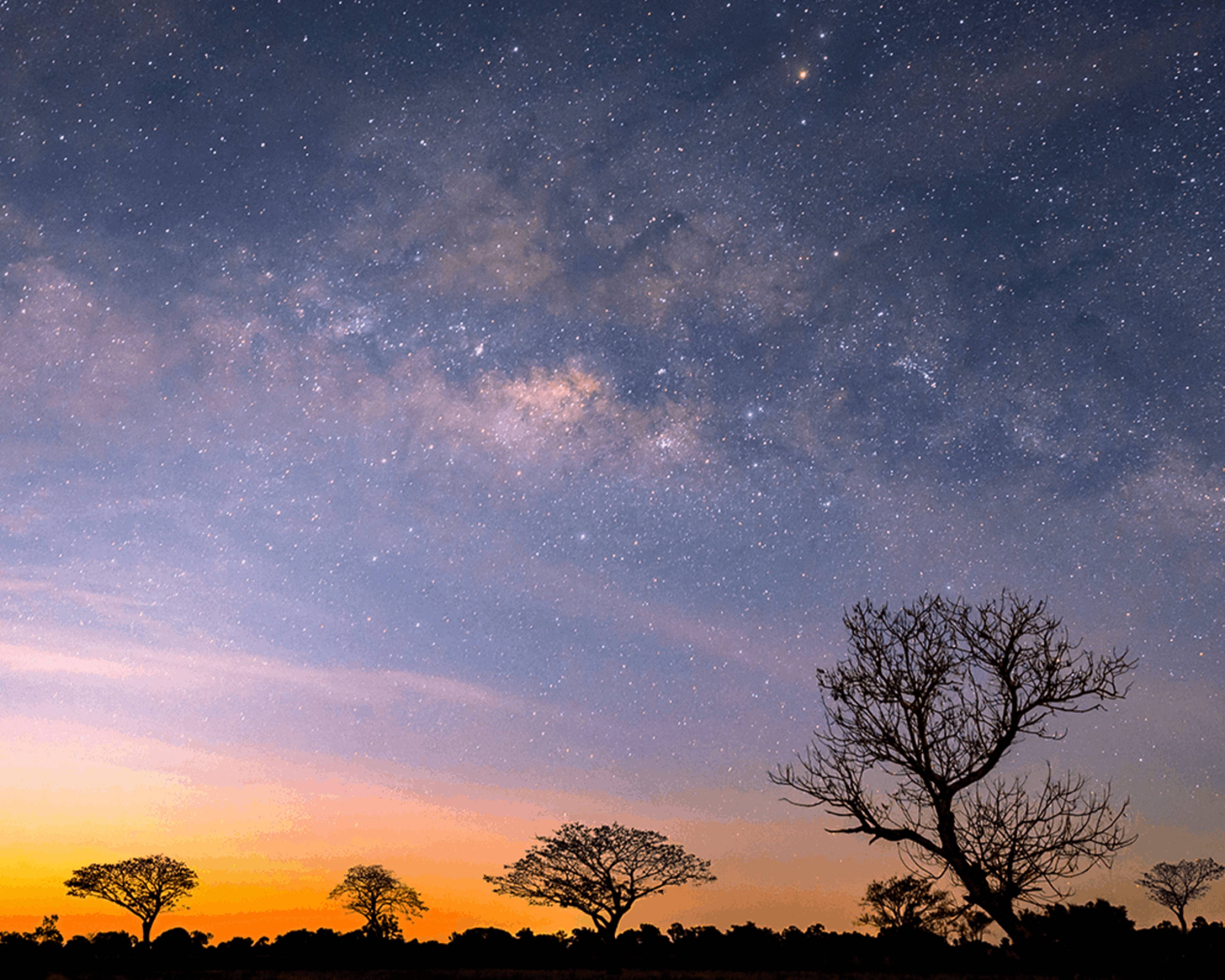 Escapade romantique sous les étoiles Kenyanes