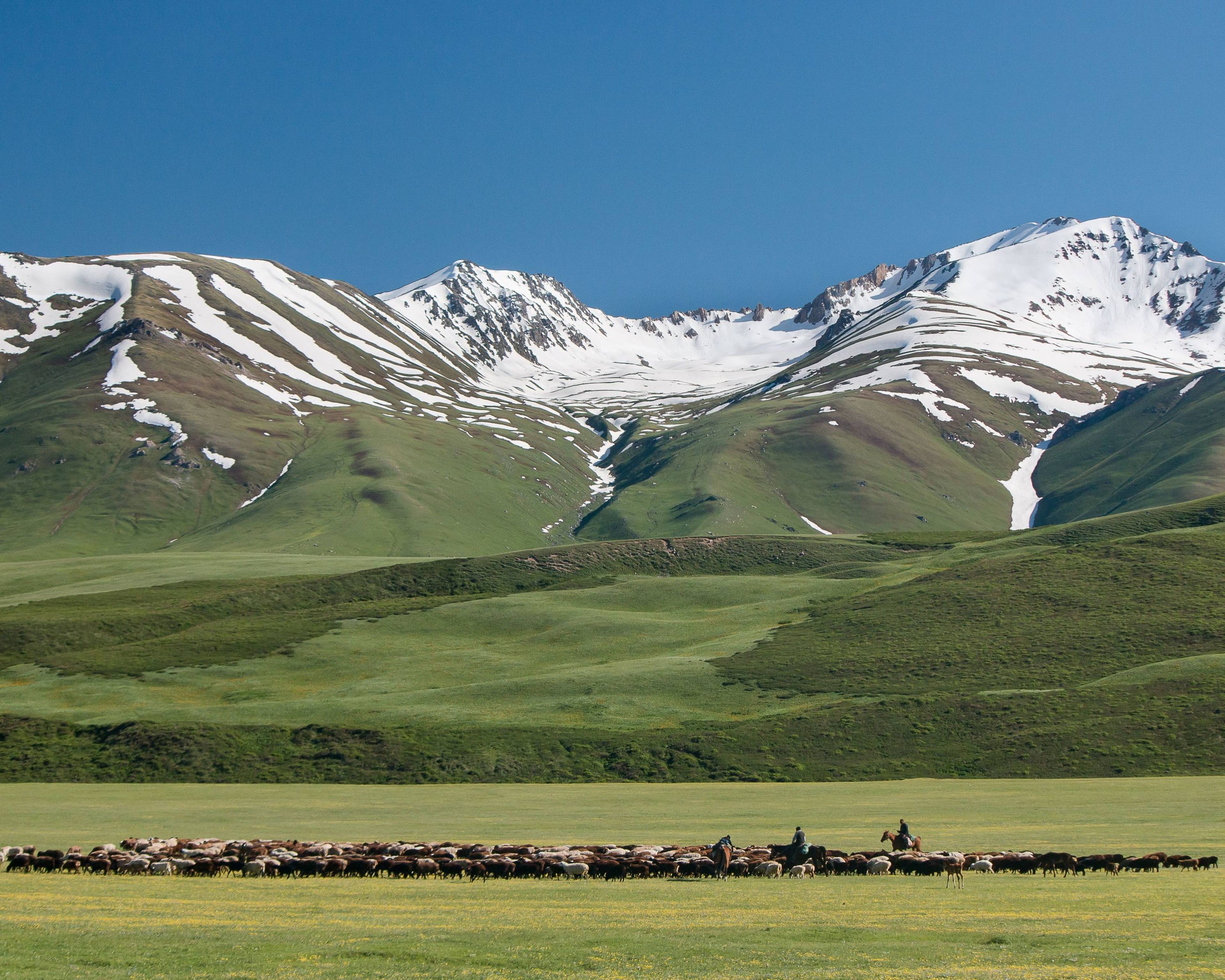 Natur und Kultur im Herzen Zentralasiens