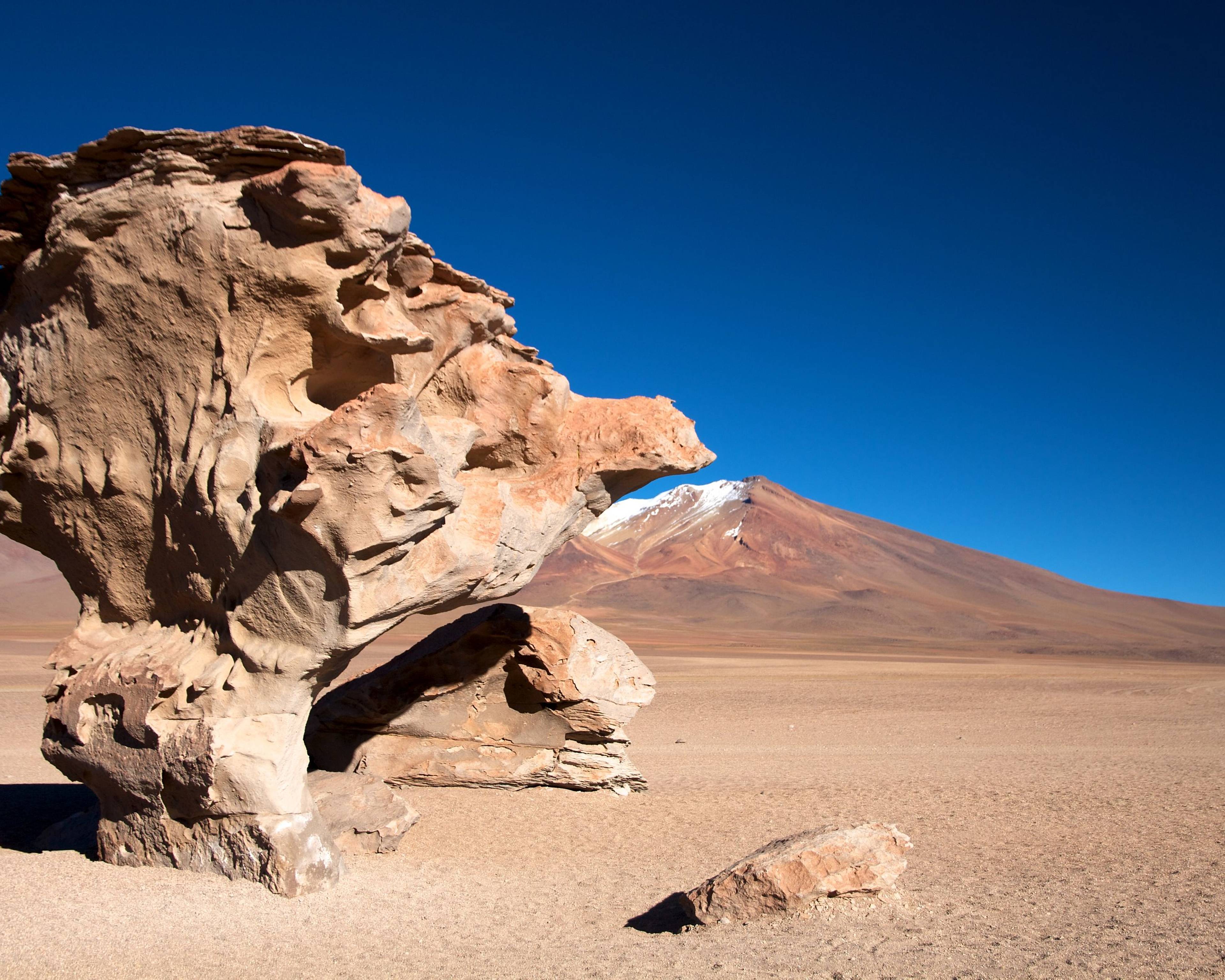 Combiné Chili et Bolivie : le meilleur de l'Altiplano